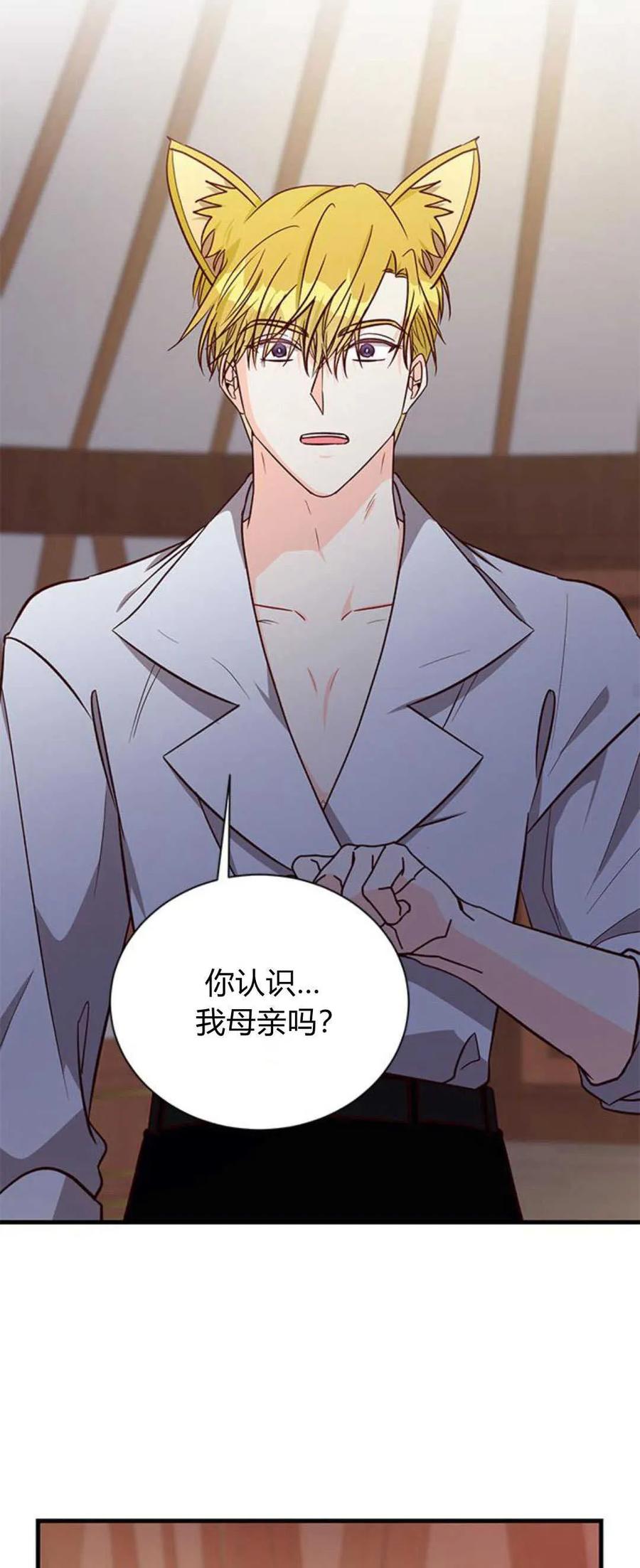 伯爵小姐的双重生活 第67话 第64页