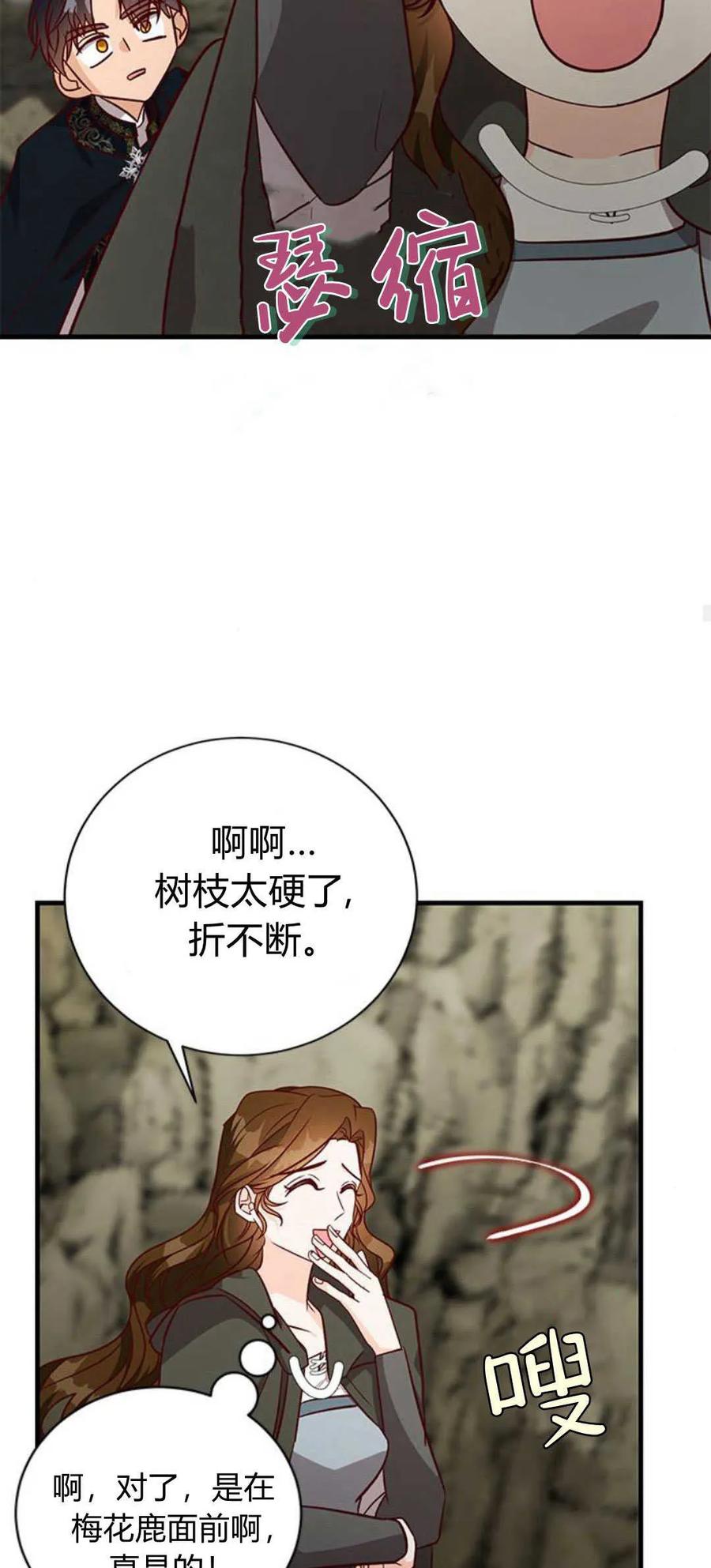 伯爵小姐的双重生活 第68话 第47页