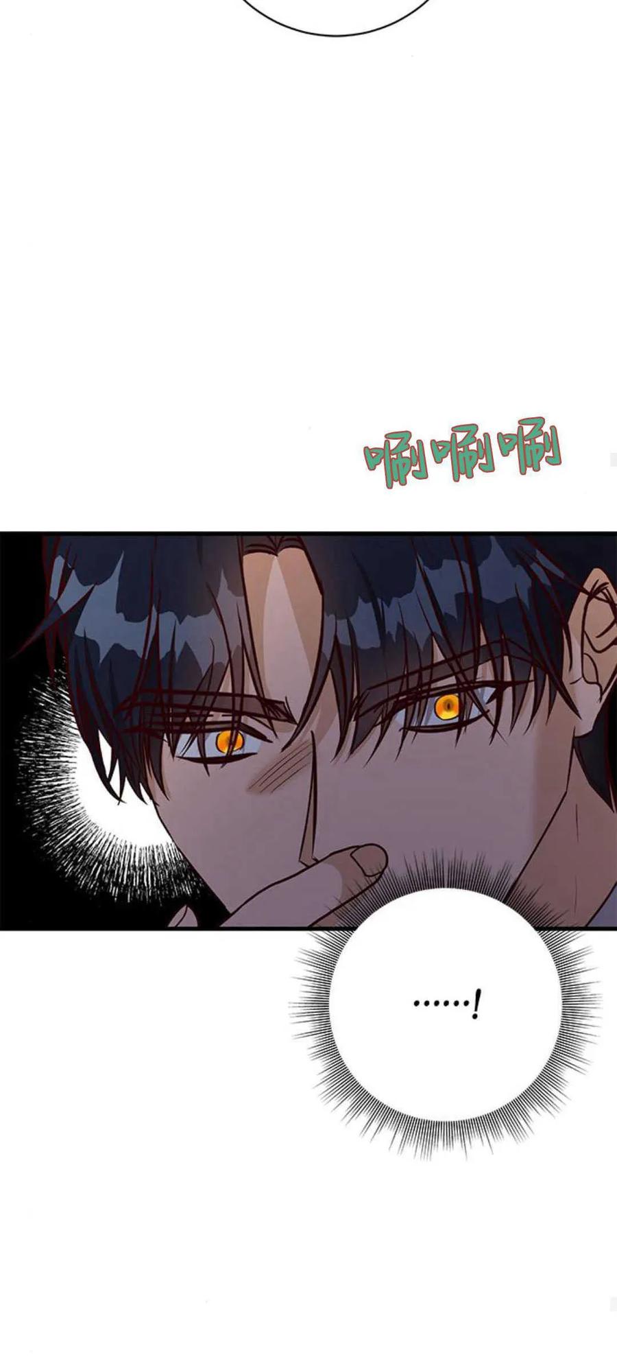 伯爵小姐的双重生活 第68话 第80页