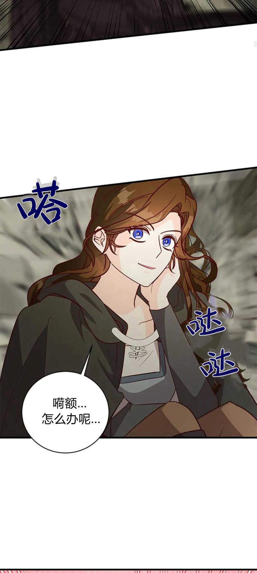 伯爵小姐的双重生活 第68话 第27页