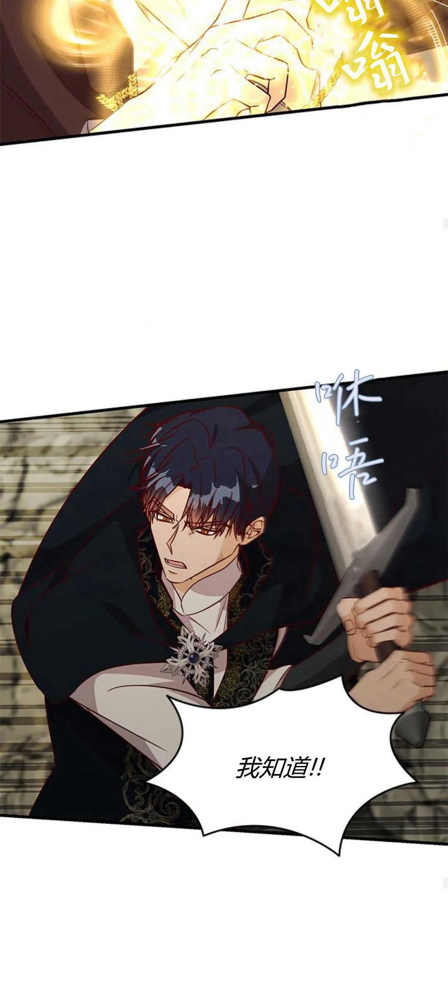 伯爵小姐的双重生活 第68话 第35页