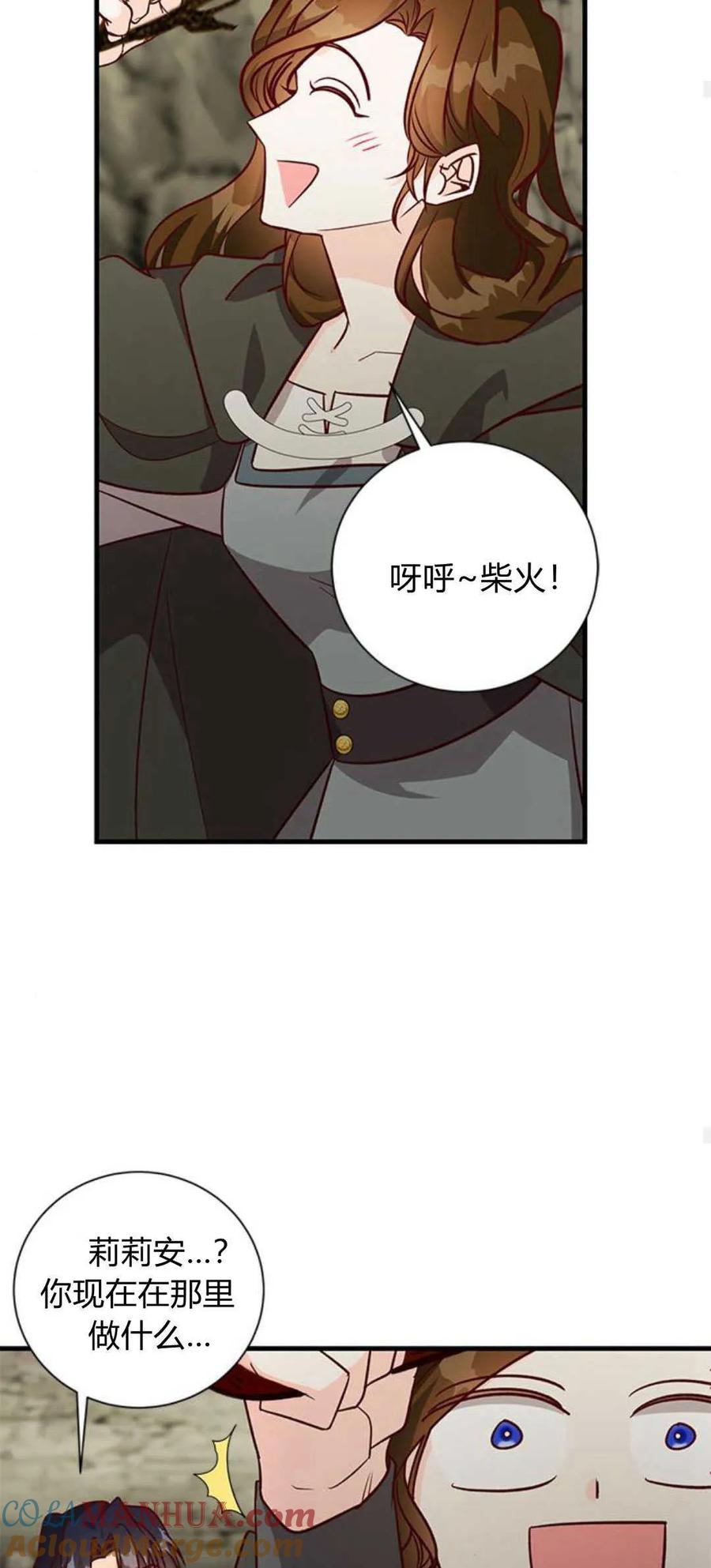 伯爵小姐的双重生活 第68话 第46页
