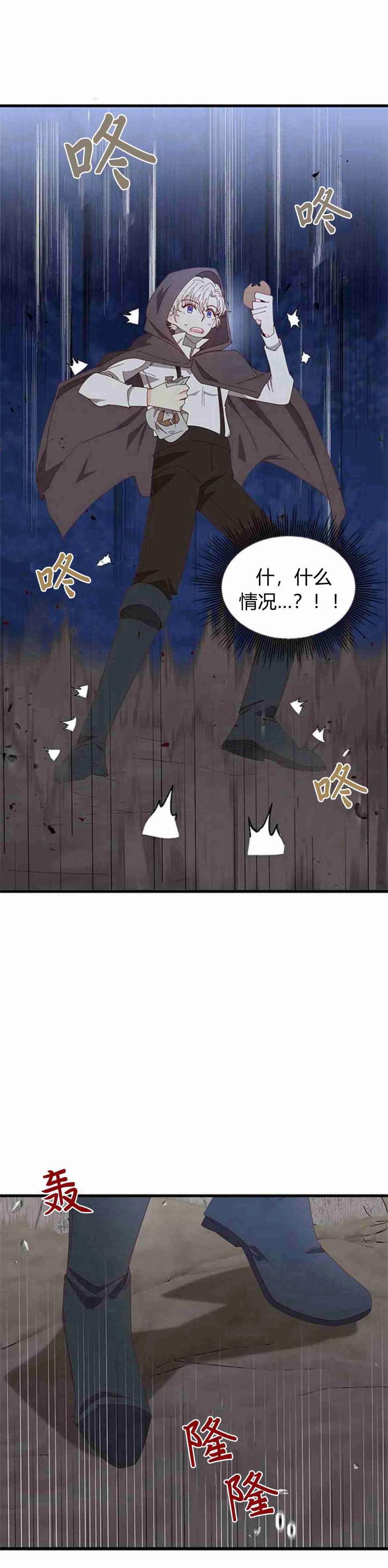 伯爵小姐的双重生活 第06话 第63页