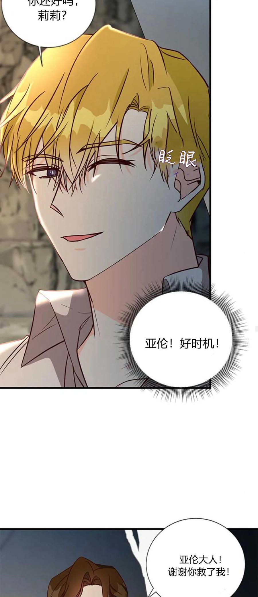 伯爵小姐的双重生活 第69话 第32页
