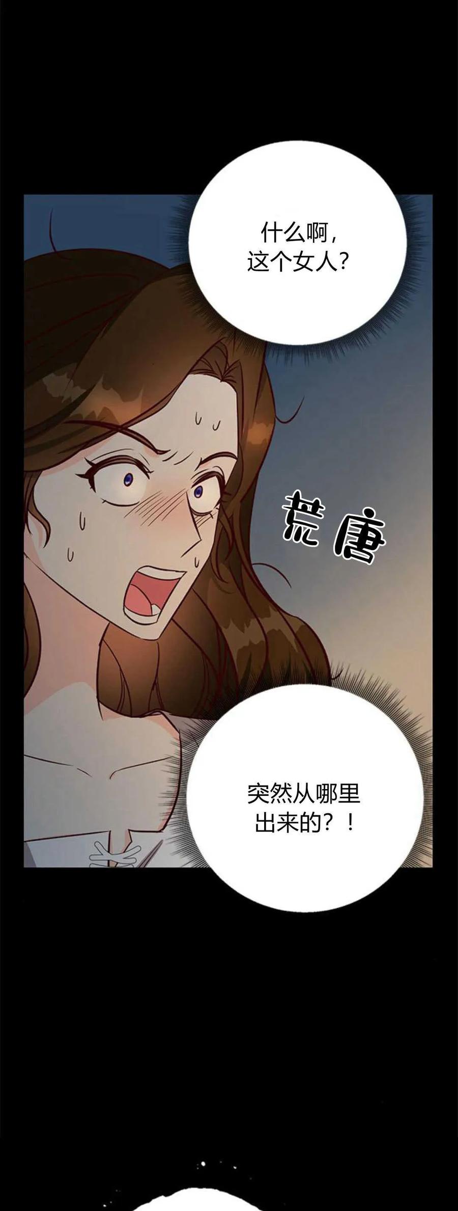 伯爵小姐的双重生活 第69话 第11页