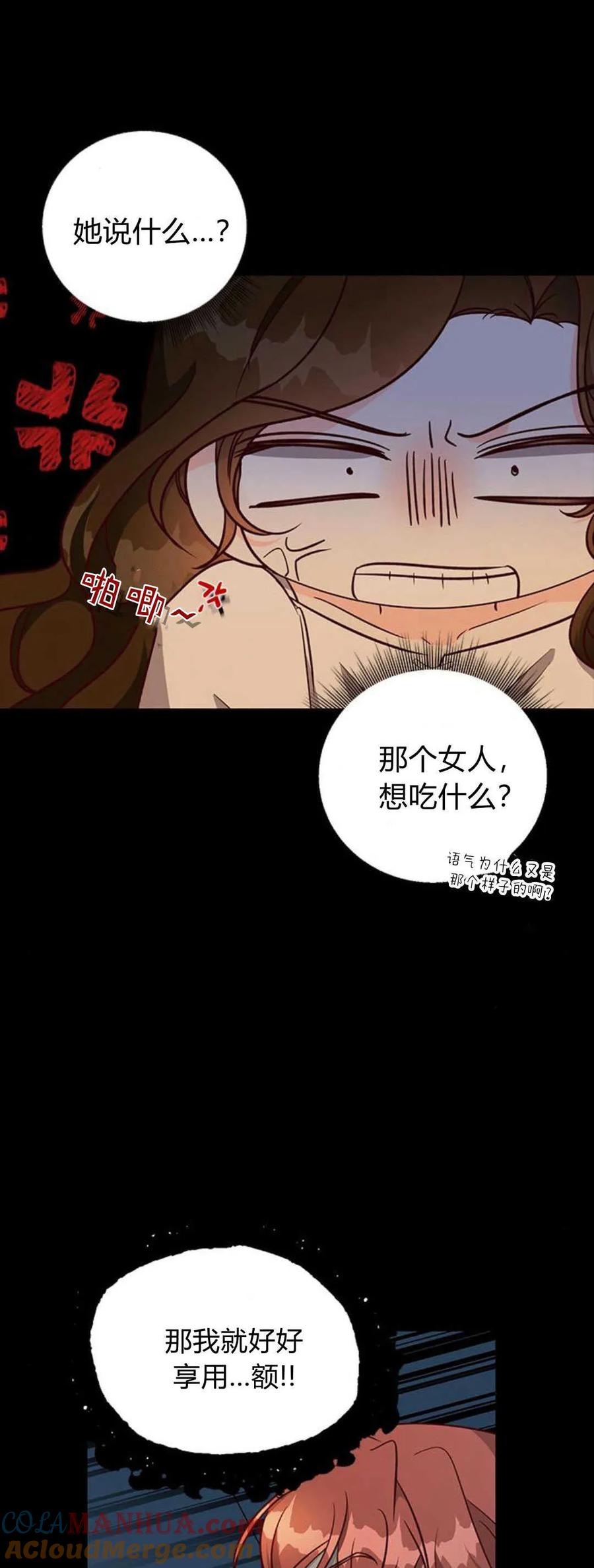 伯爵小姐的双重生活 第69话 第13页