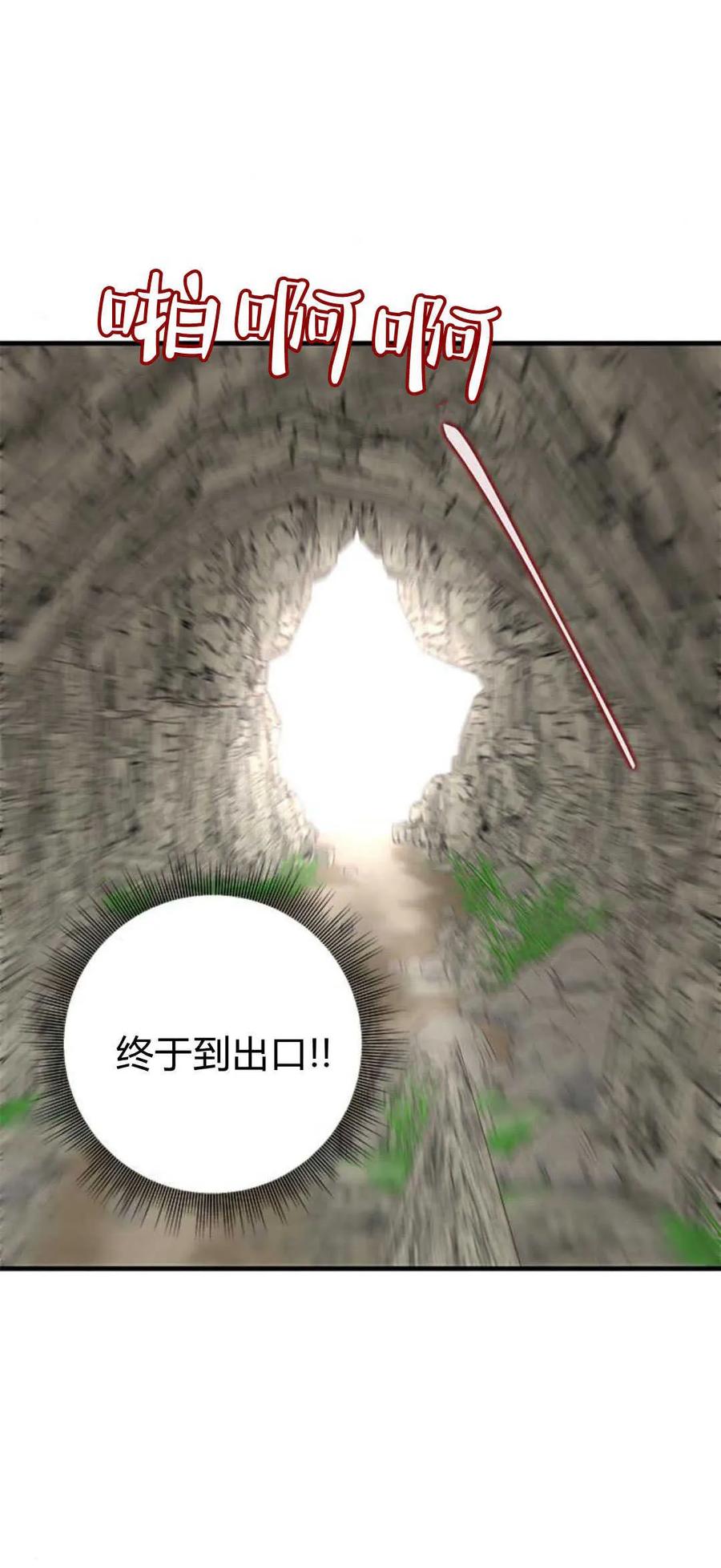 伯爵小姐的双重生活 第69话 第77页
