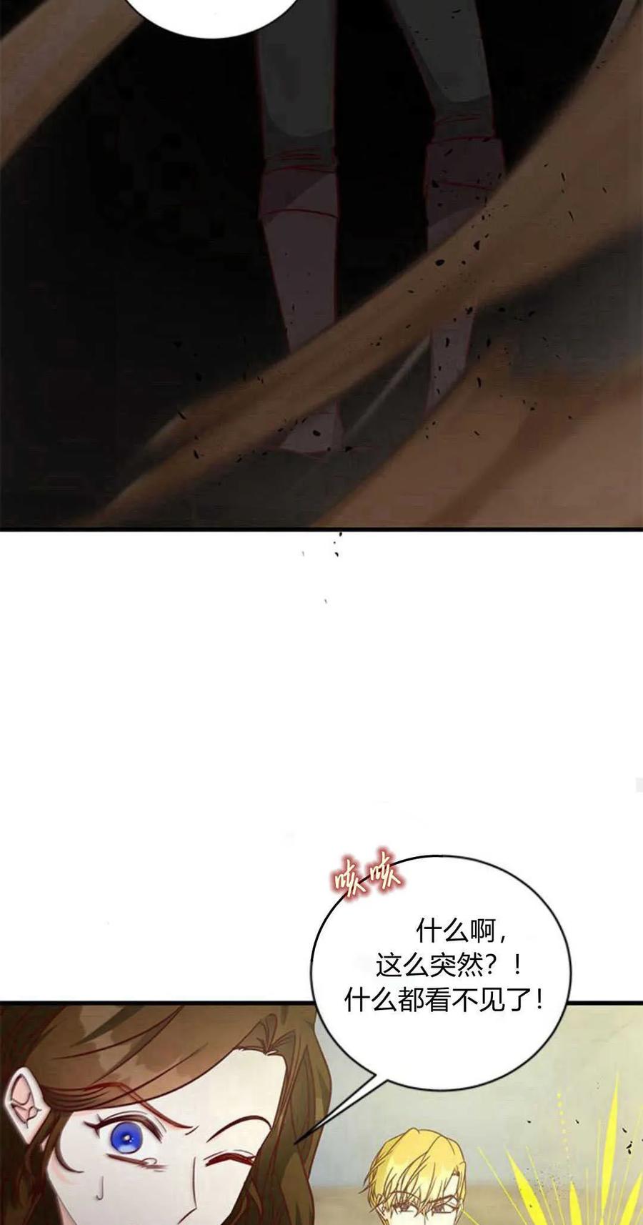伯爵小姐的双重生活 第70话 第26页