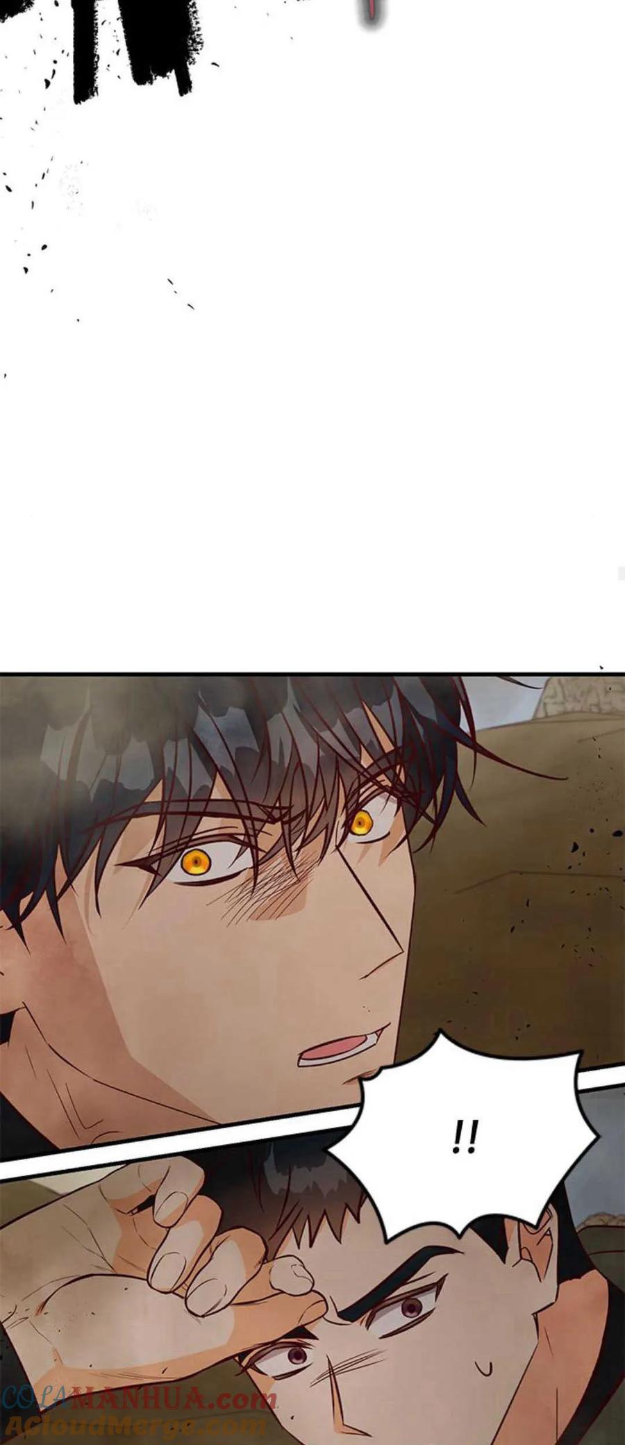 伯爵小姐的双重生活 第70话 第46页