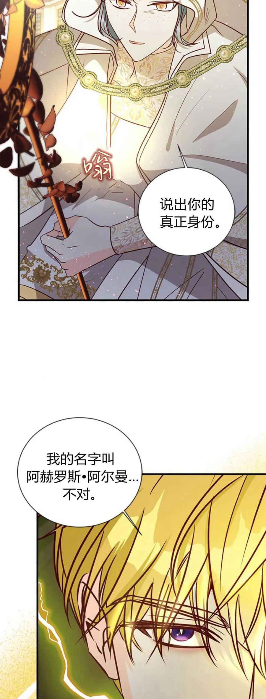 伯爵小姐的双重生活 第70话 第87页