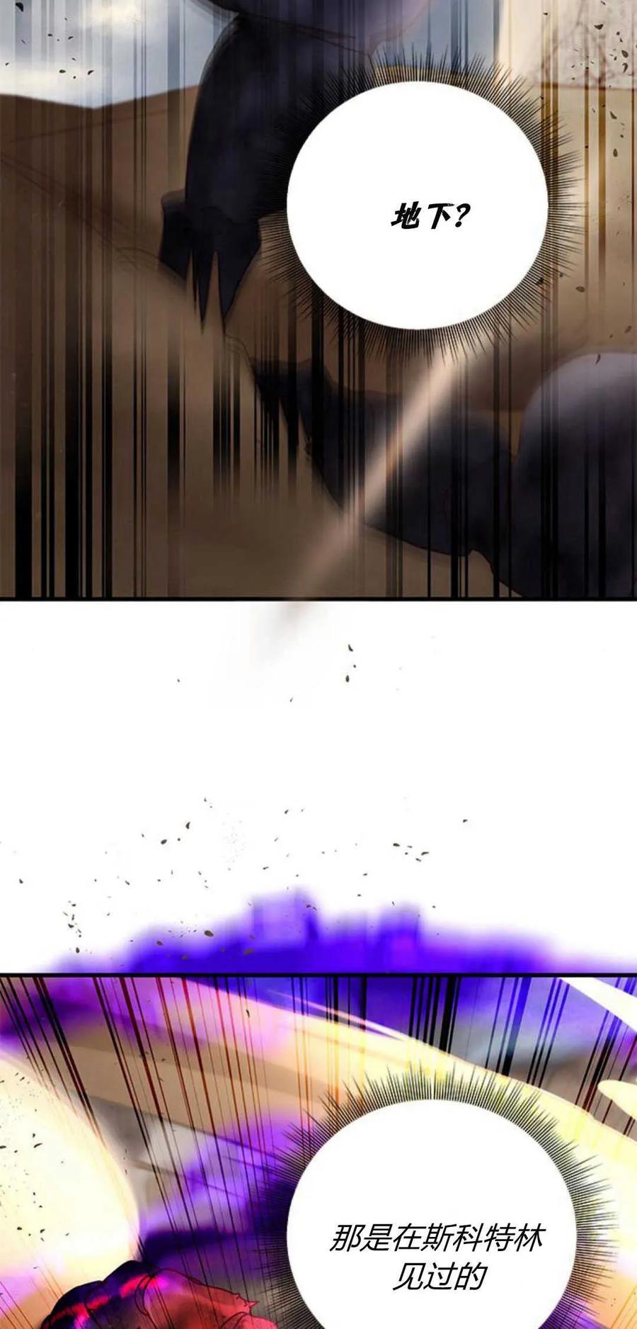 伯爵小姐的双重生活 第70话 第14页