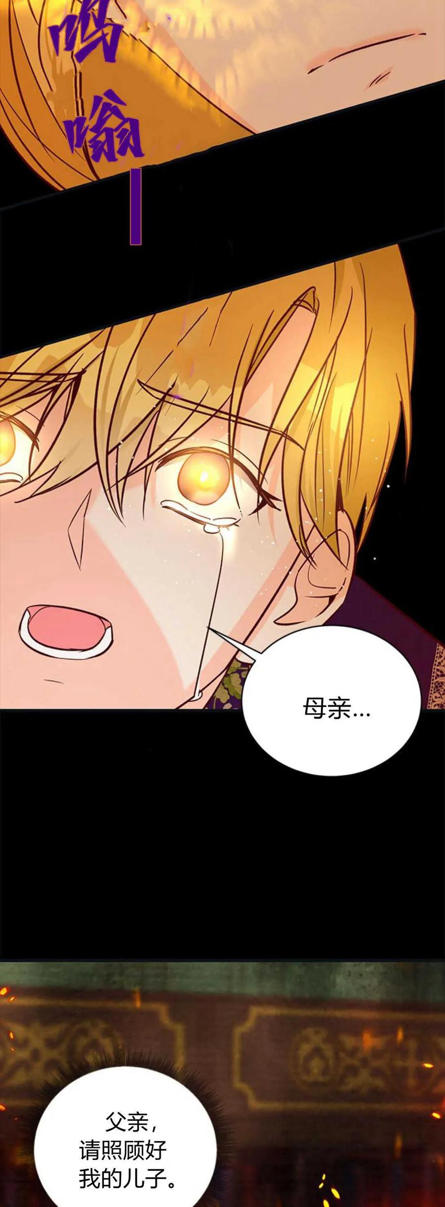 伯爵小姐的双重生活 第71话 第77页
