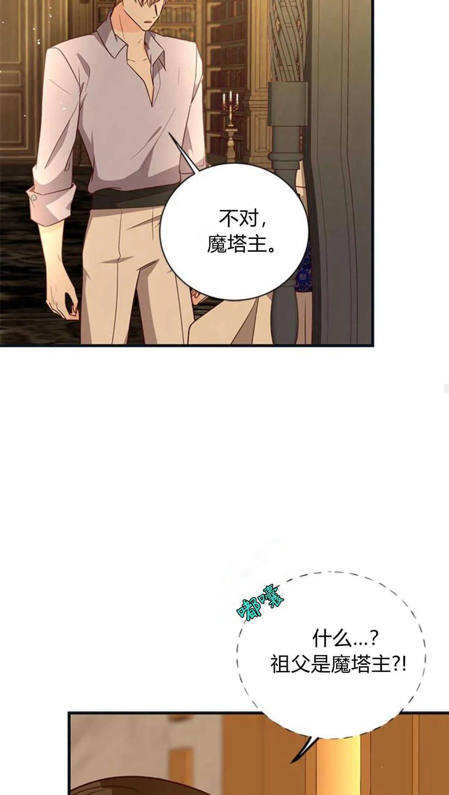 伯爵小姐的双重生活 第71话 第28页