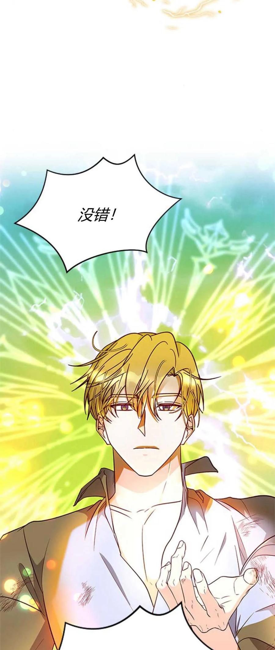 伯爵小姐的双重生活 第71话 第4页