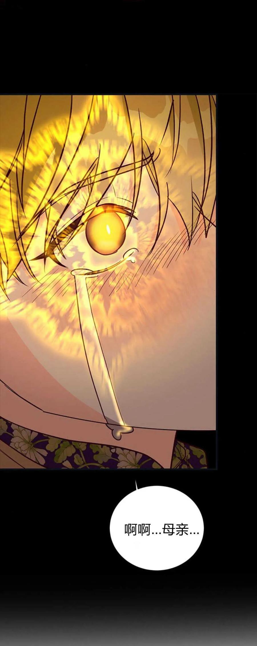 伯爵小姐的双重生活 第71话 第86页