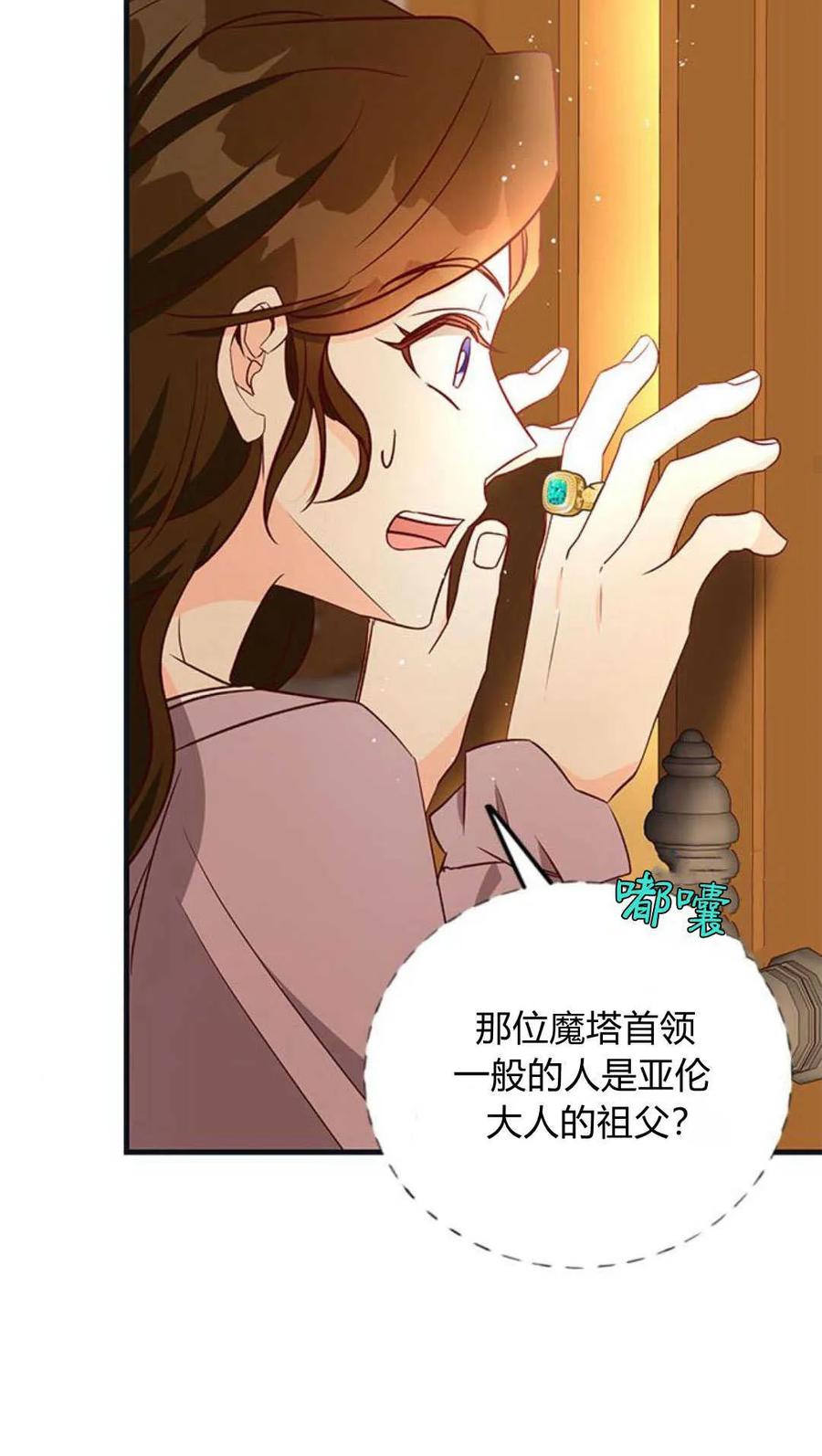 伯爵小姐的双重生活 第71话 第29页