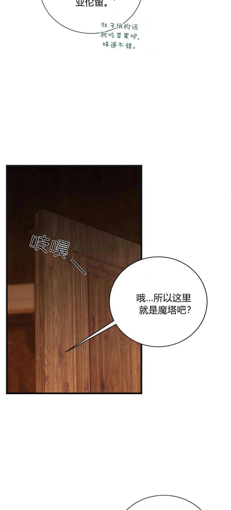 伯爵小姐的双重生活 第71话 第17页