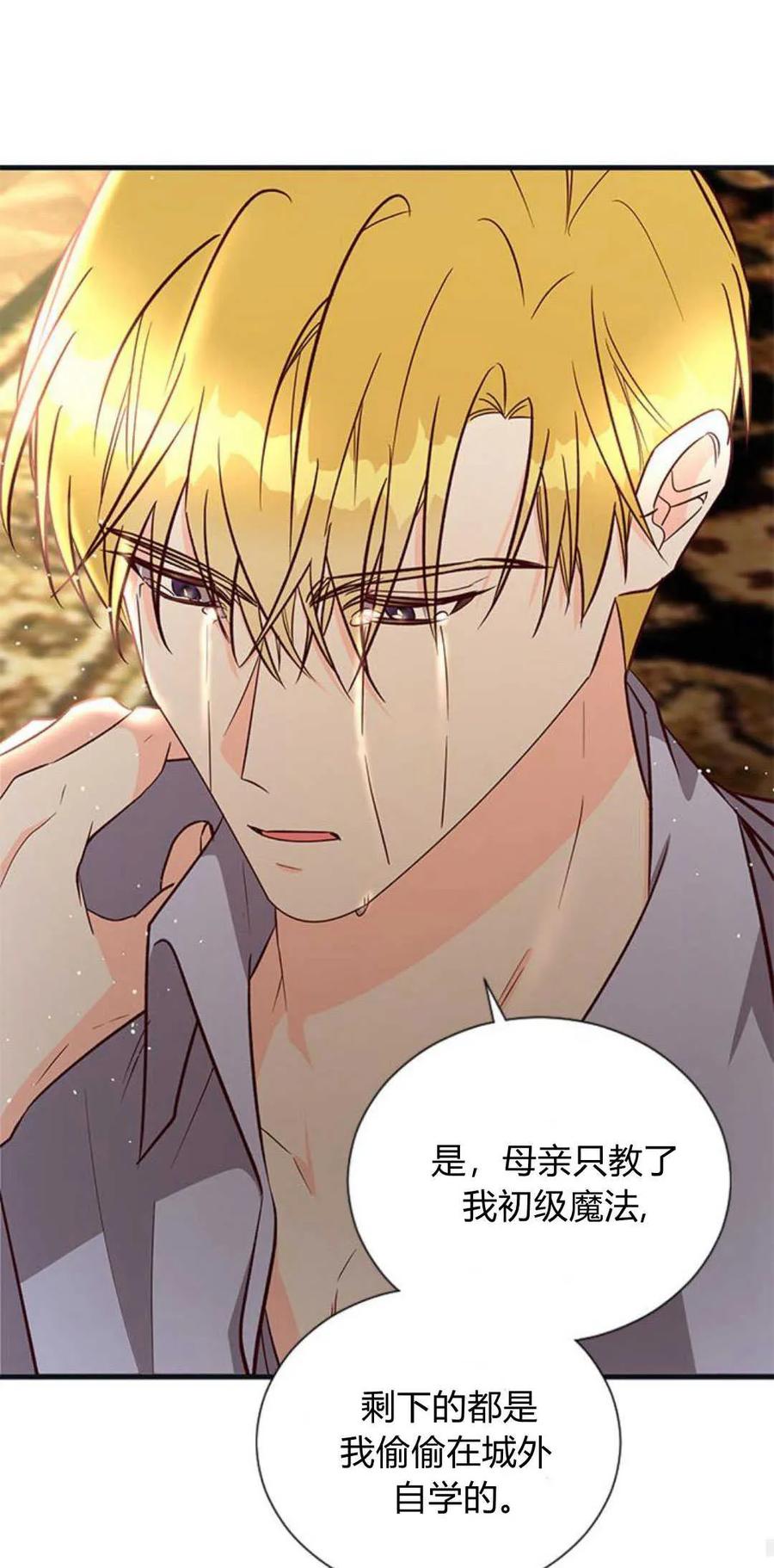 伯爵小姐的双重生活 第71话 第38页
