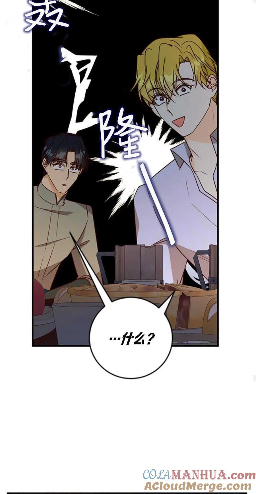 伯爵小姐的双重生活 第72话 第67页