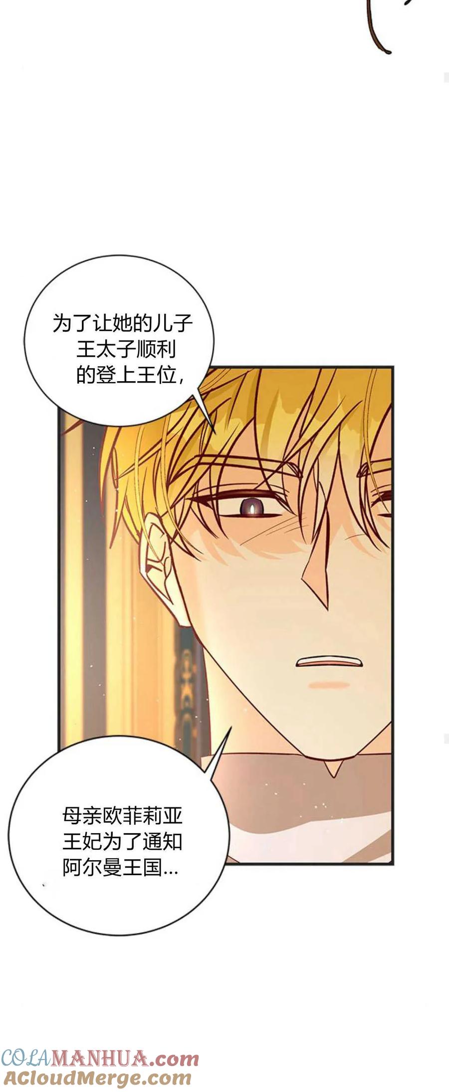 伯爵小姐的双重生活 第73话 第67页