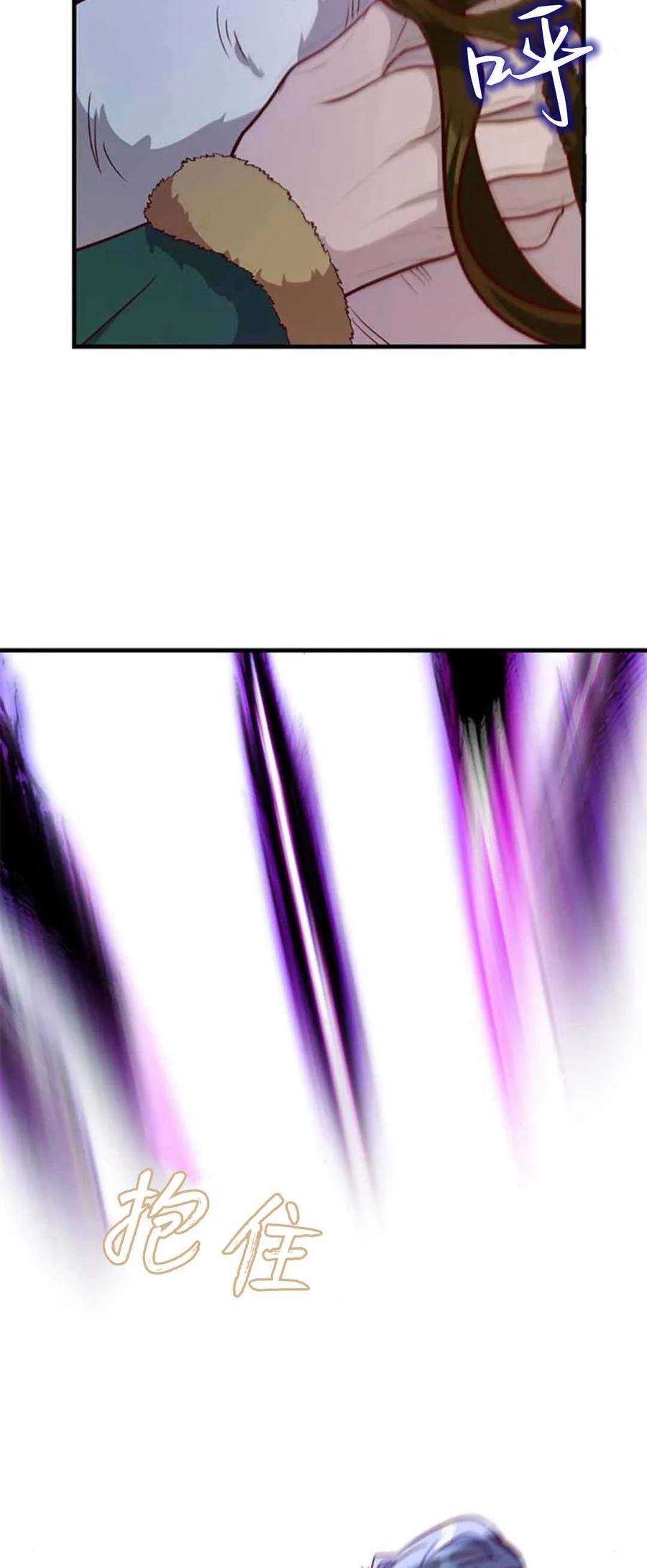 伯爵小姐的双重生活 第77话 第17页