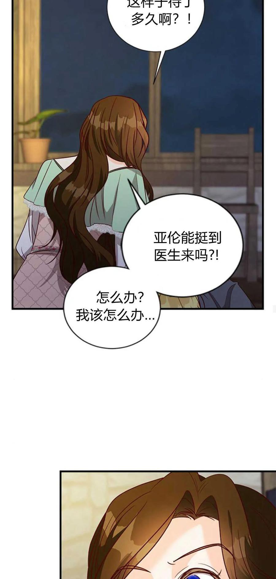 伯爵小姐的双重生活 第78话 第35页