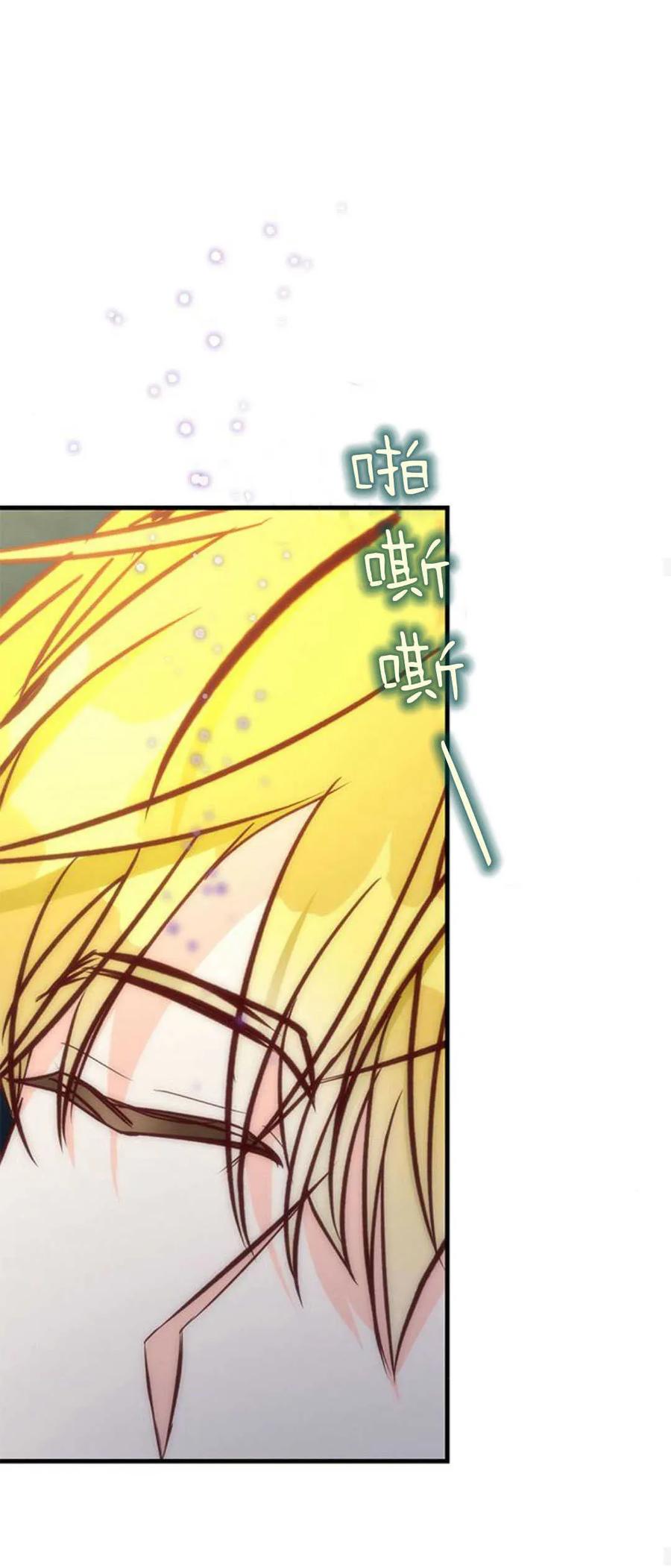 伯爵小姐的双重生活 第78话 第48页