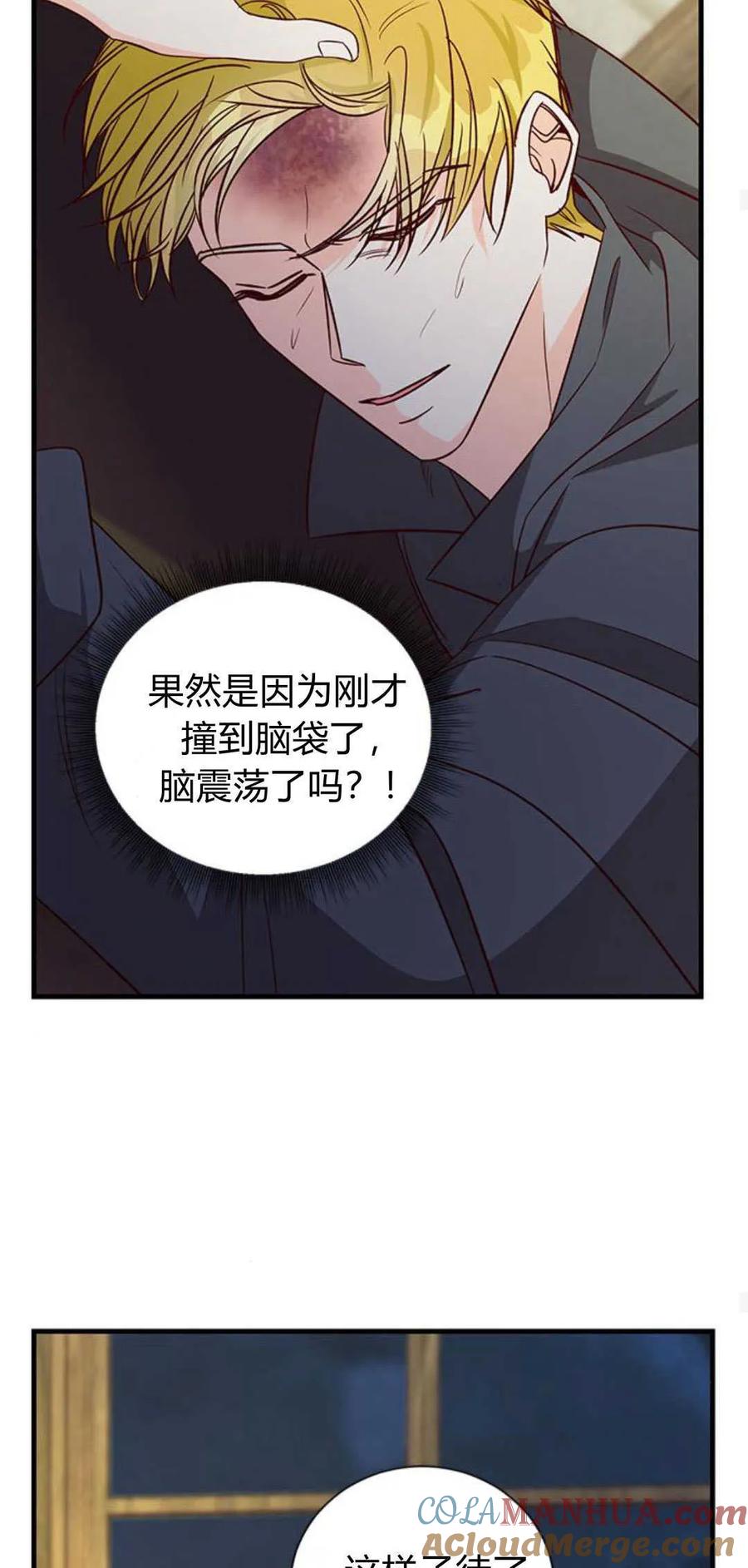 伯爵小姐的双重生活 第78话 第34页