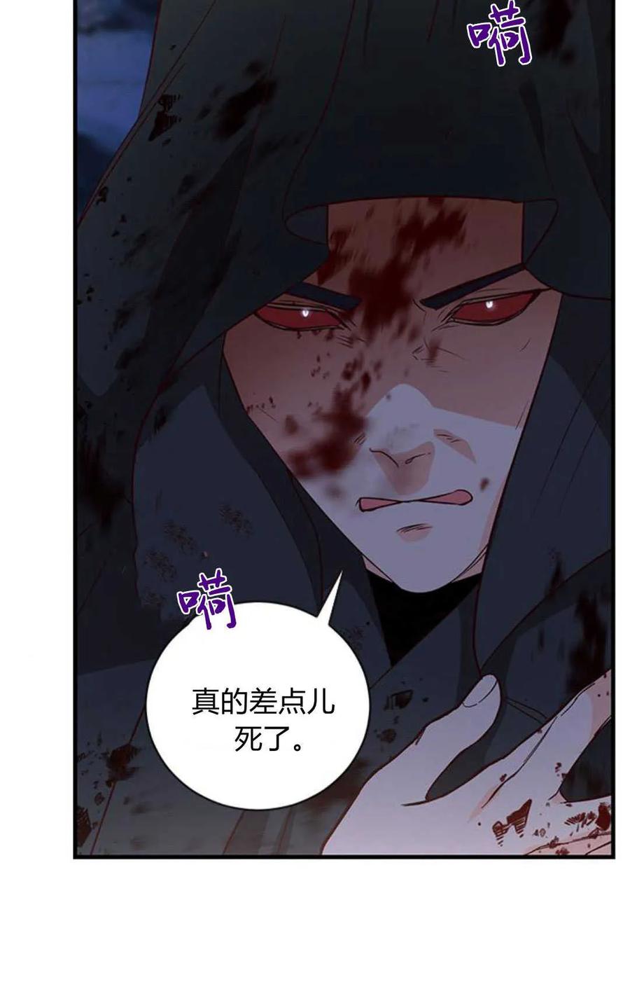 伯爵小姐的双重生活 第78话 第74页