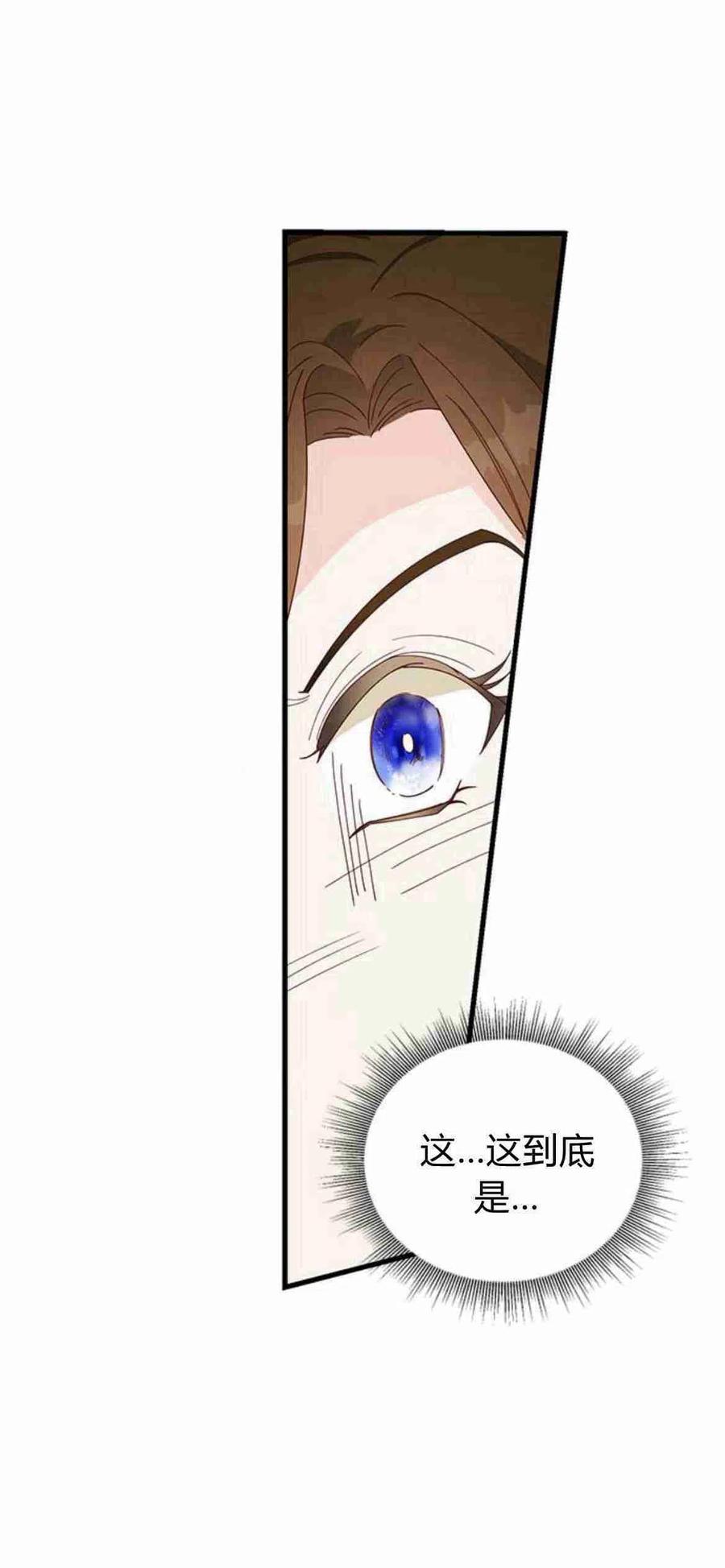 伯爵小姐的双重生活 第07话 第66页