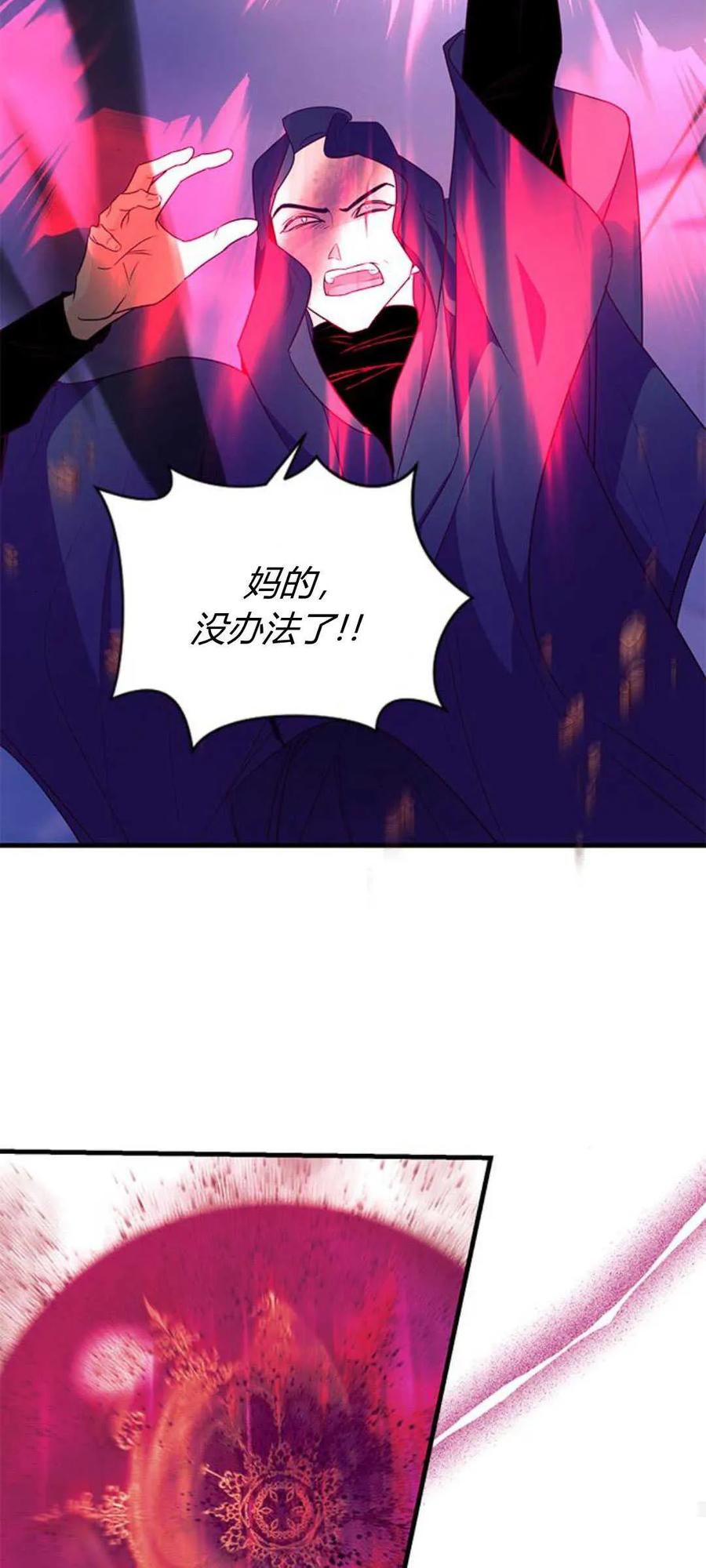 伯爵小姐的双重生活 第79话 第72页
