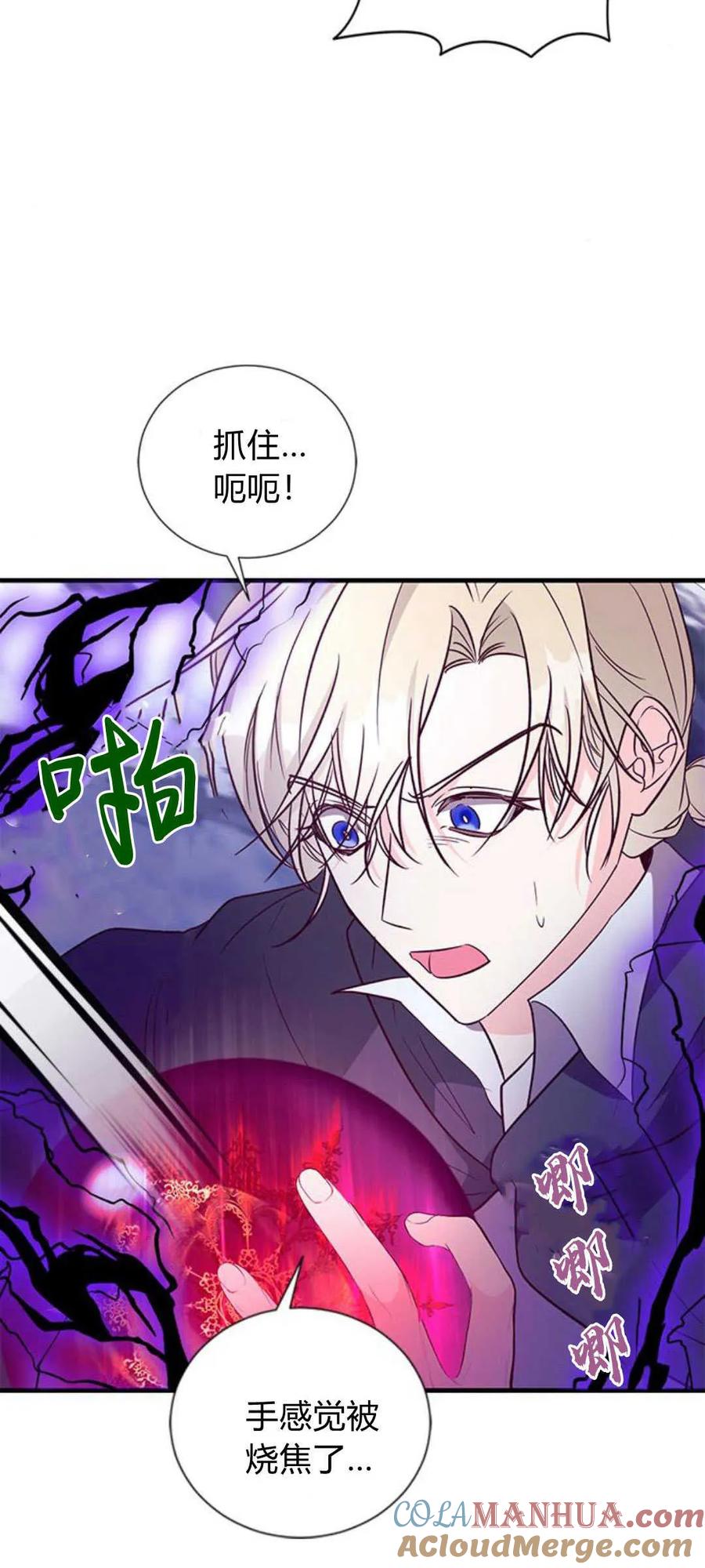伯爵小姐的双重生活 第79话 第79页