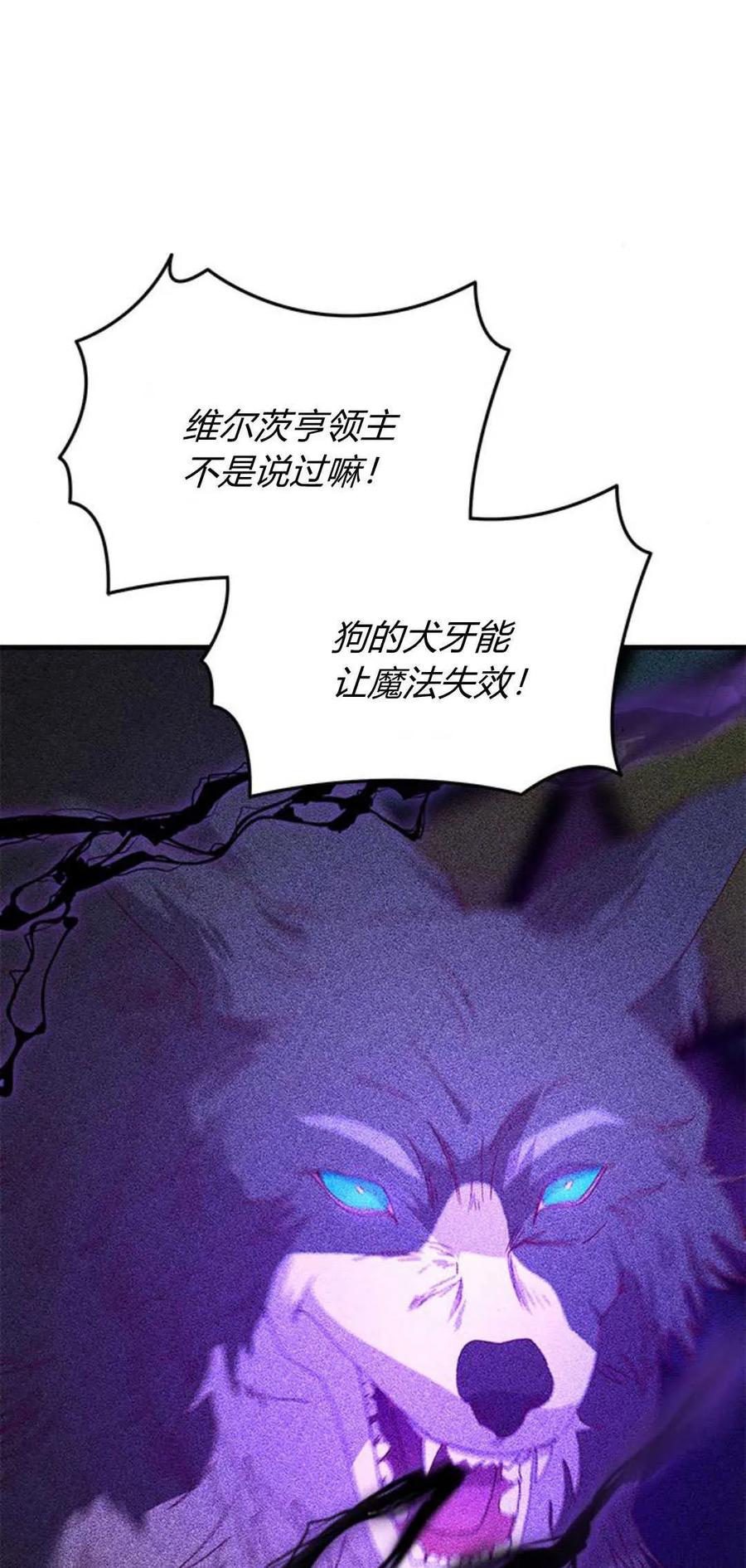 伯爵小姐的双重生活 第79话 第66页