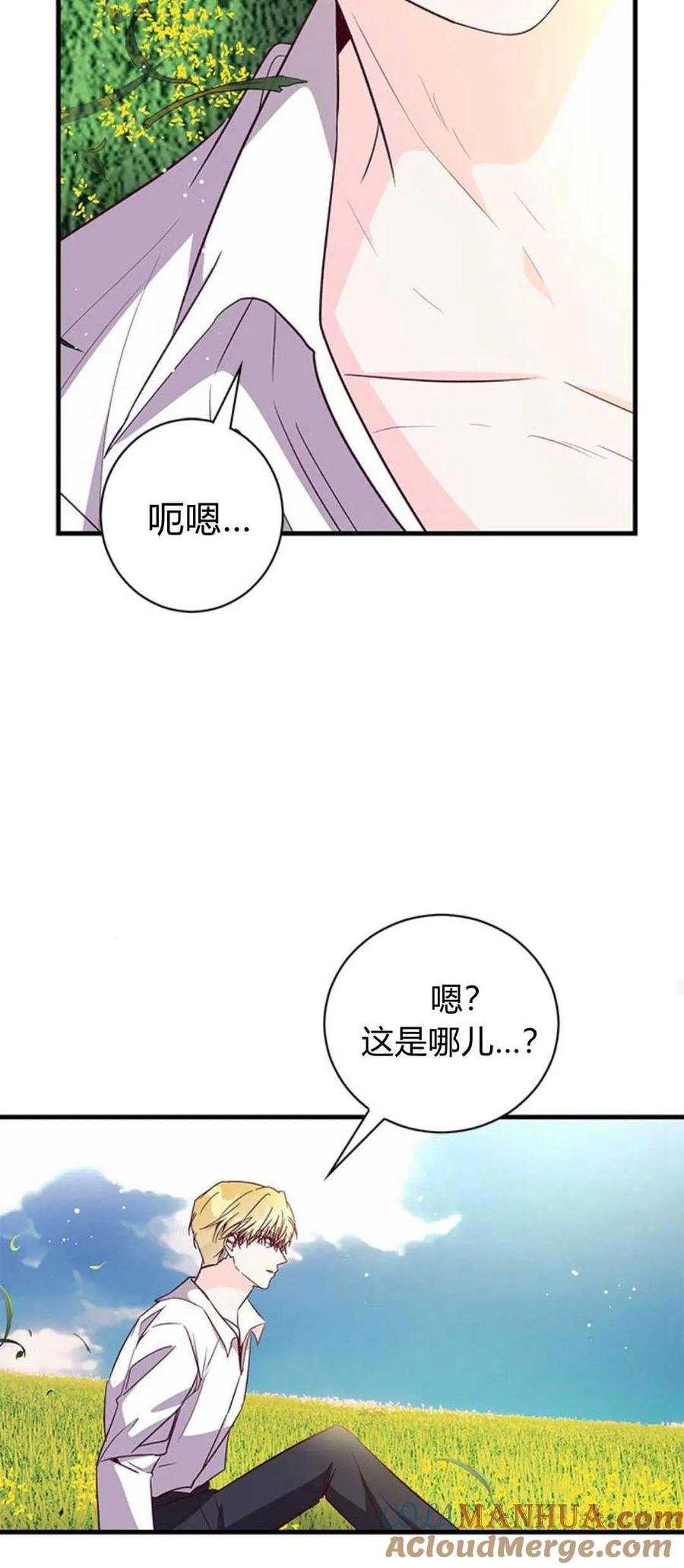 伯爵小姐的双重生活 第80话 第25页