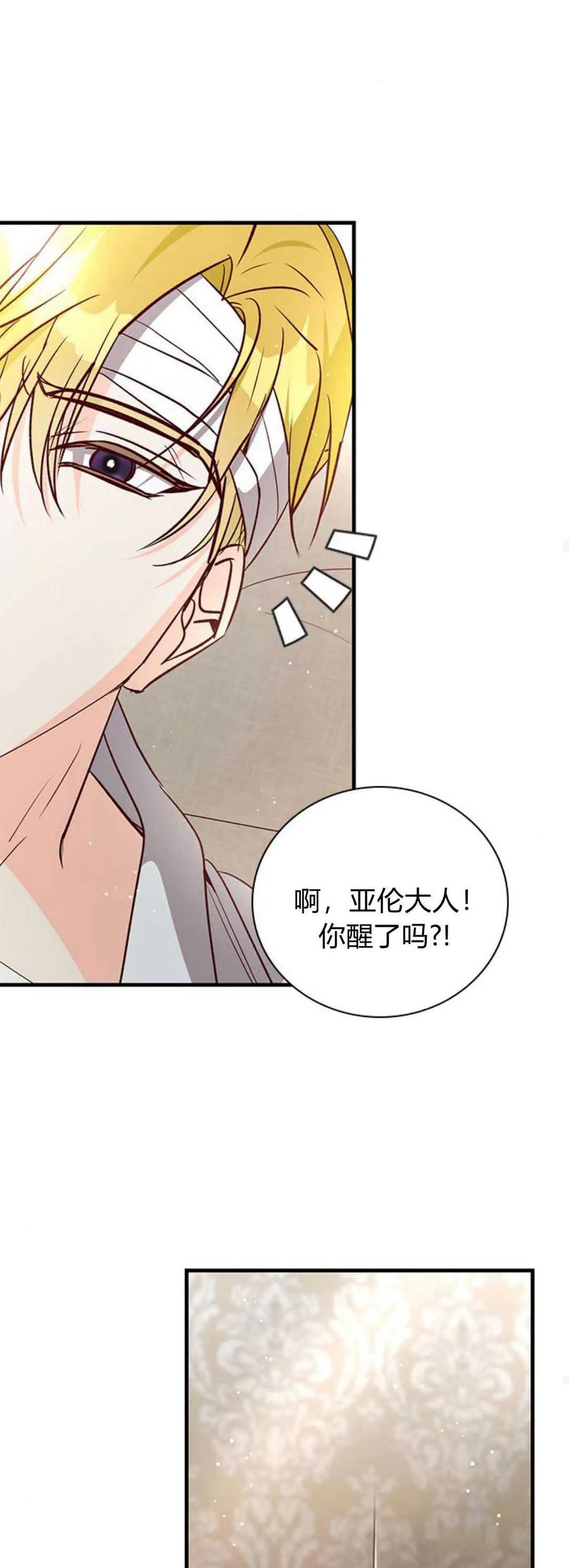 伯爵小姐的双重生活 第80话 第75页