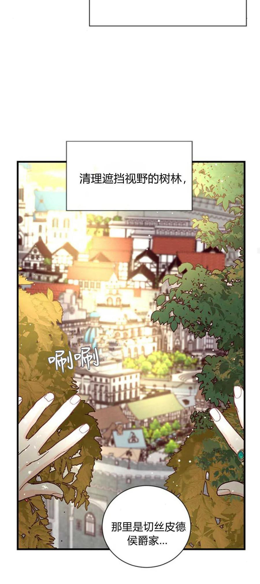 伯爵小姐的双重生活 第81话 第67页