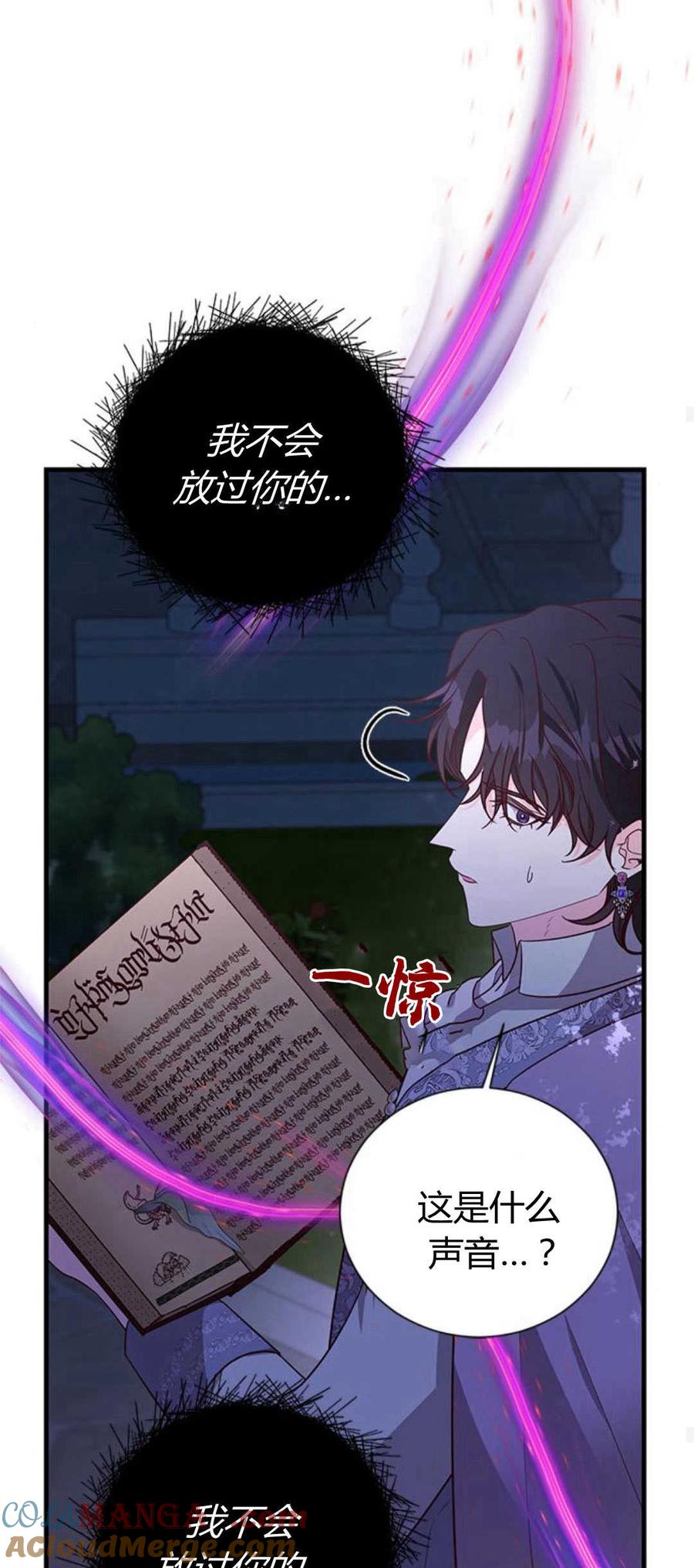 伯爵小姐的双重生活 第85话 第64页