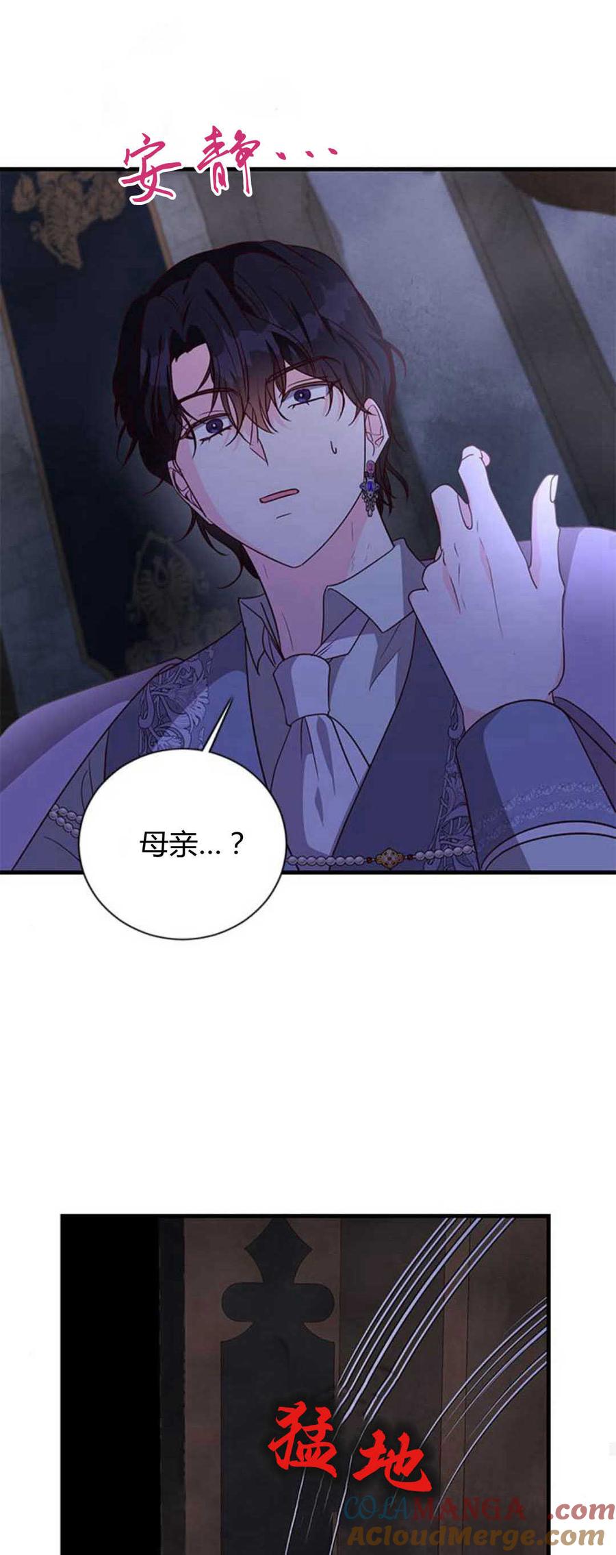 伯爵小姐的双重生活 第85话 第73页