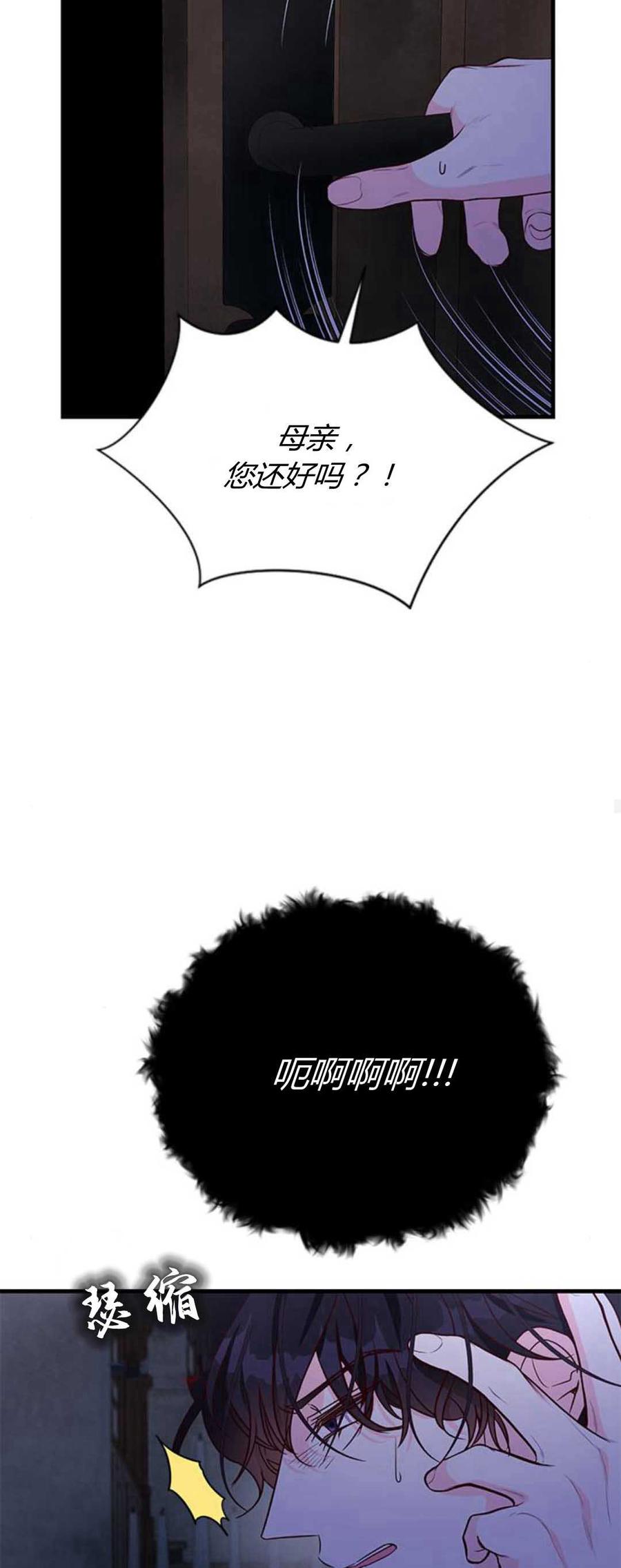伯爵小姐的双重生活 第85话 第74页