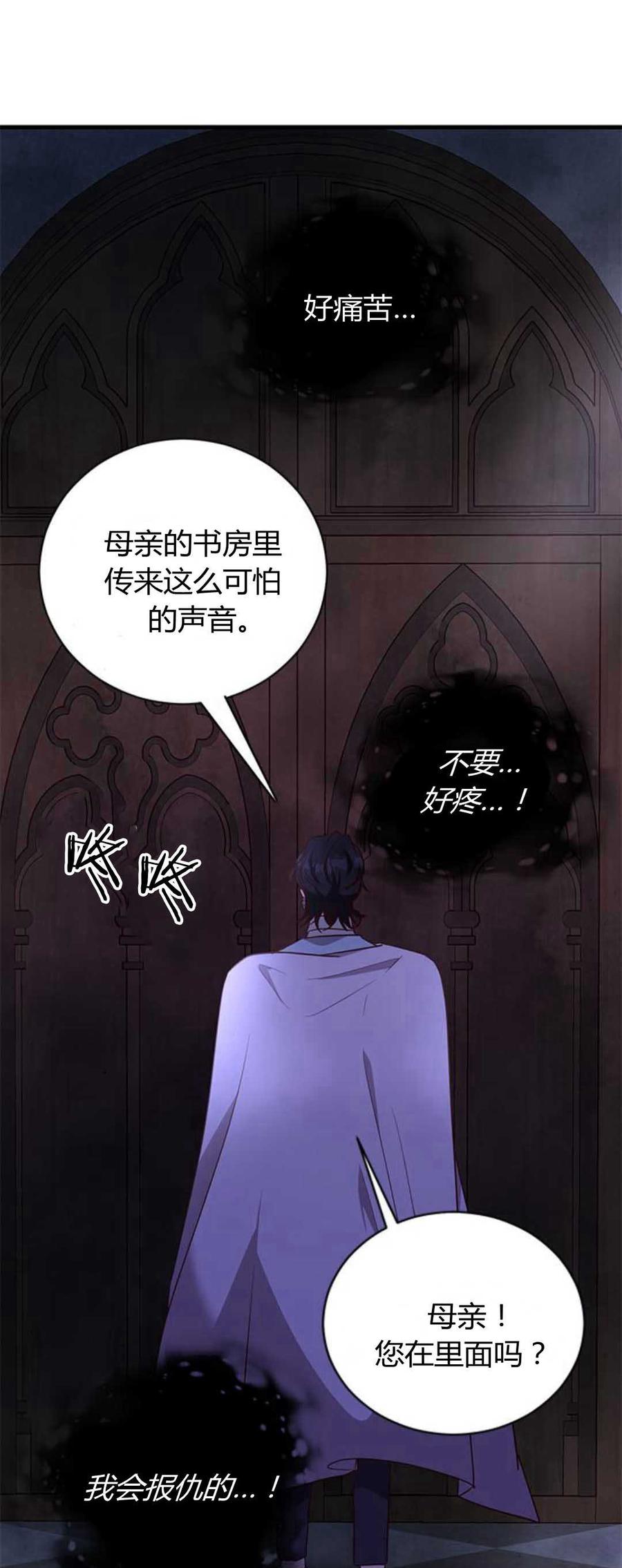 伯爵小姐的双重生活 第85话 第71页