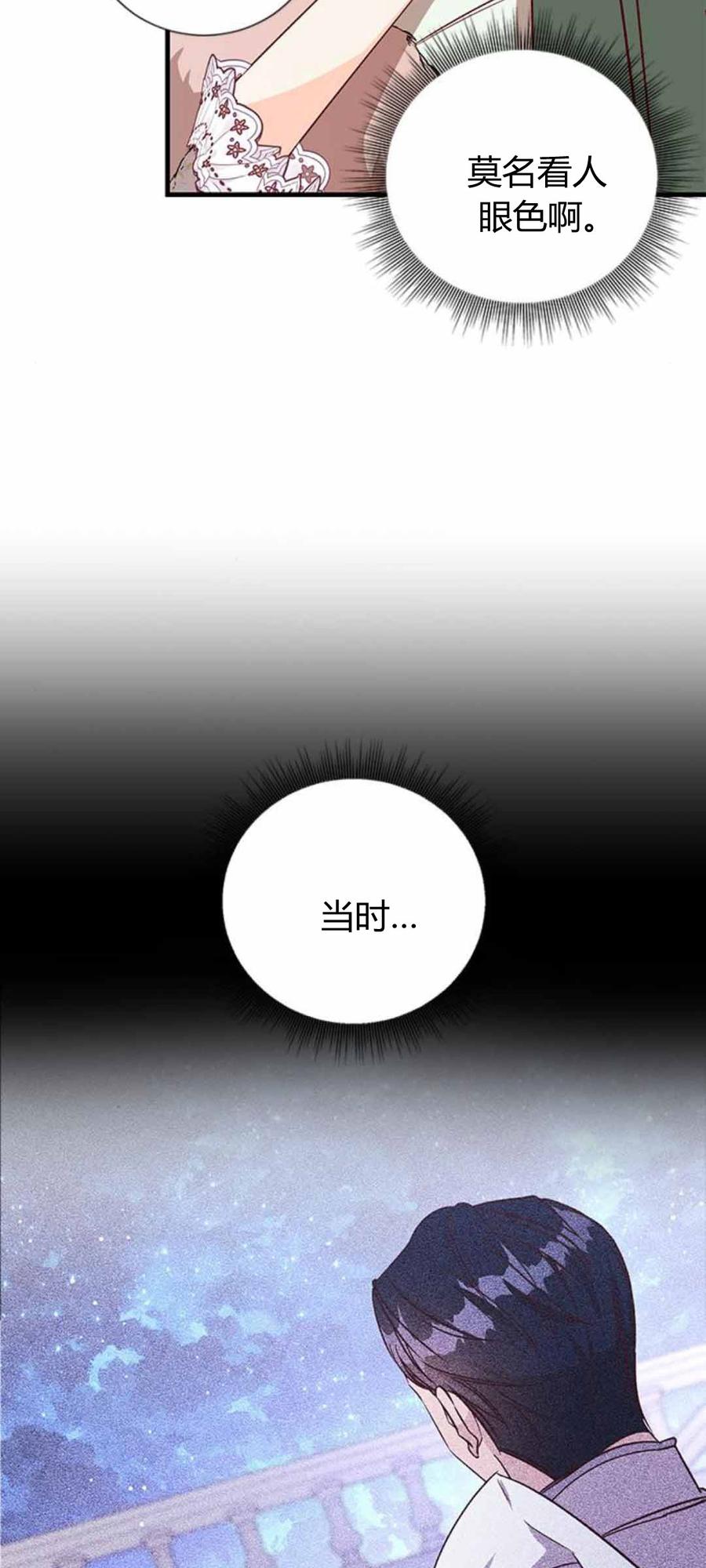 伯爵小姐的双重生活 第86话 第29页