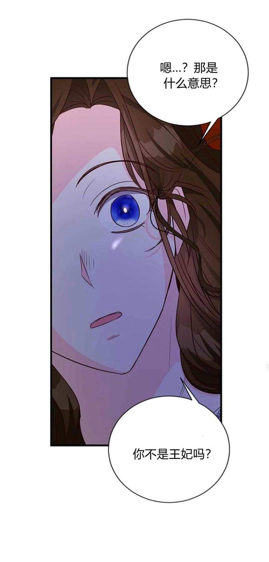 伯爵小姐的双重生活 第87话 第99页