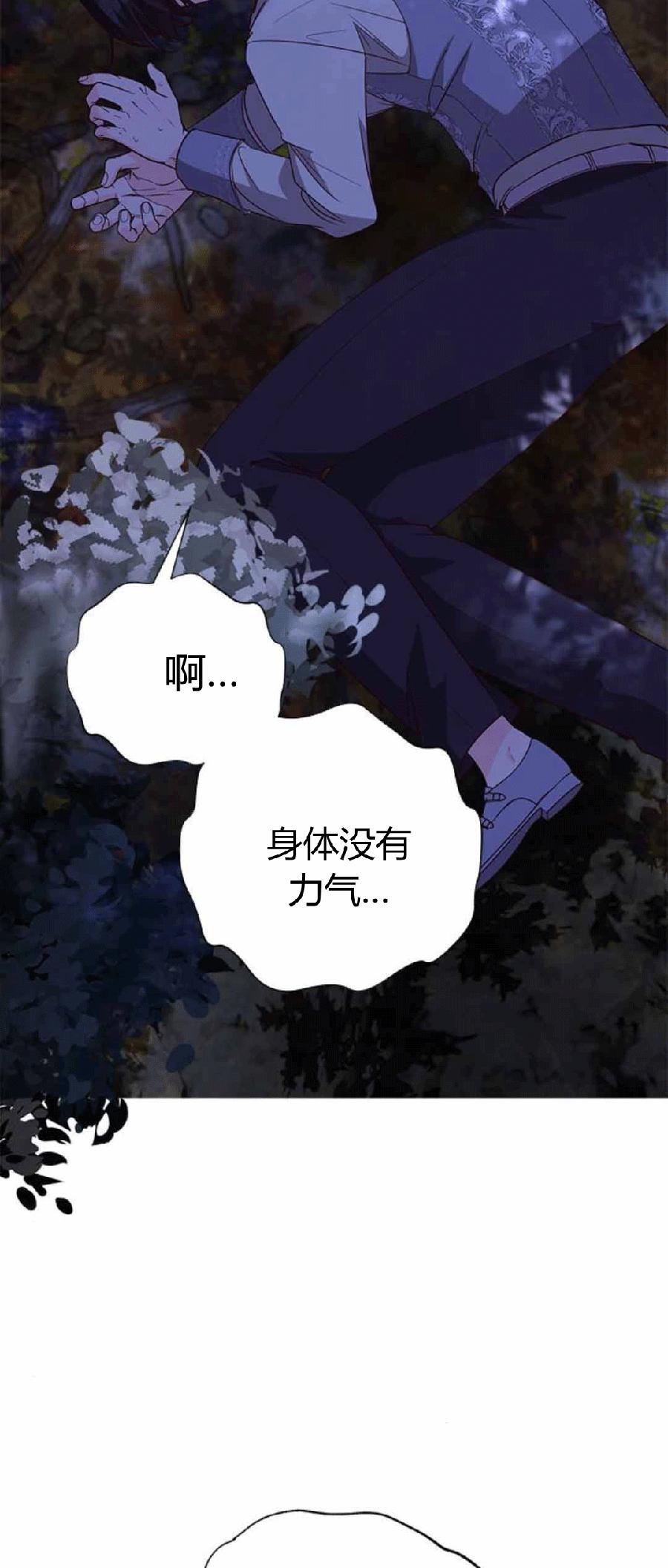 伯爵小姐的双重生活 第87话 第42页