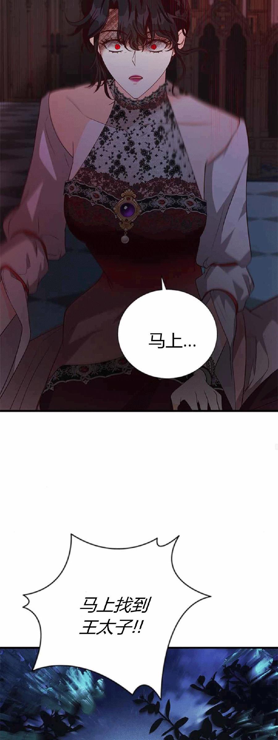 伯爵小姐的双重生活 第87话 第30页