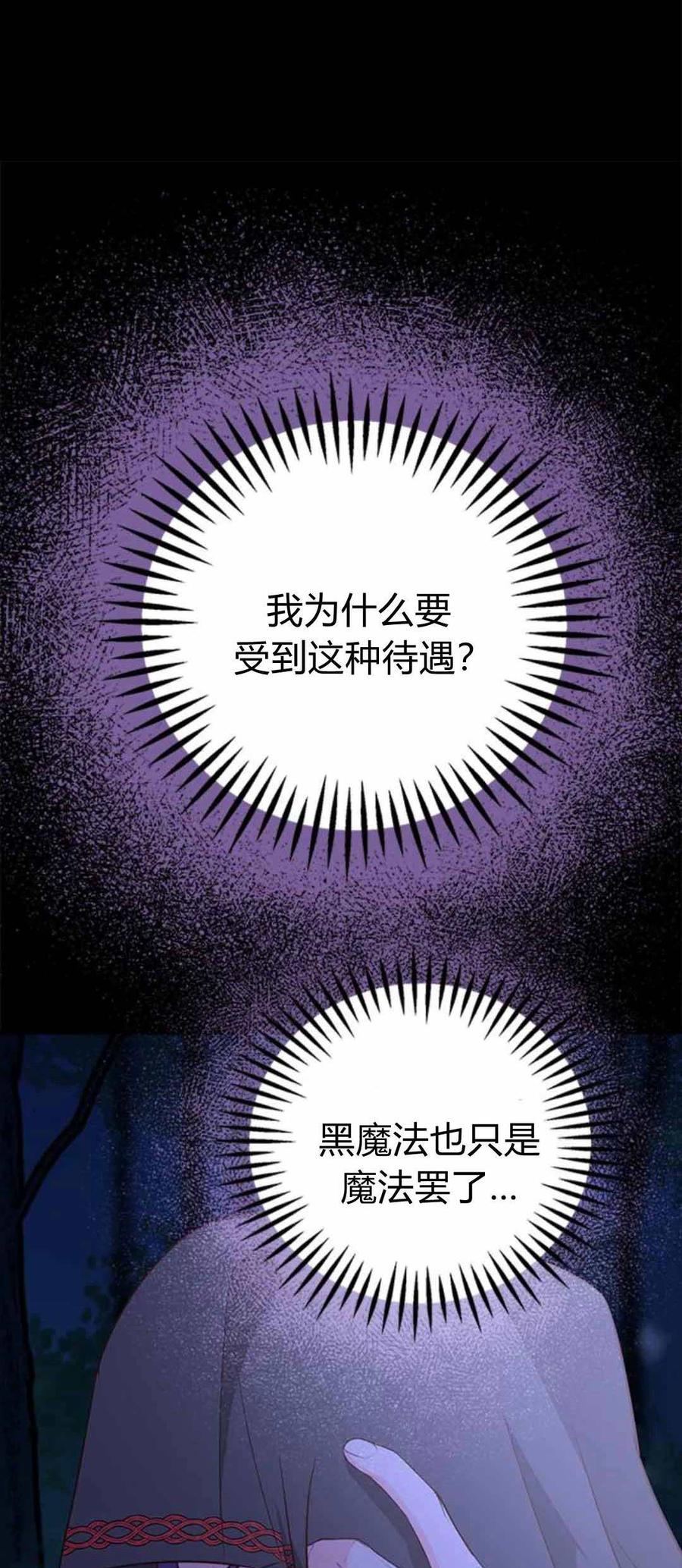伯爵小姐的双重生活 第87话 第115页