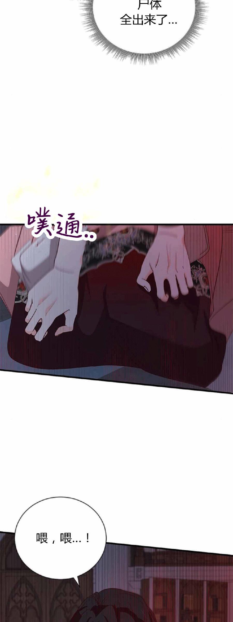 伯爵小姐的双重生活 第87话 第28页