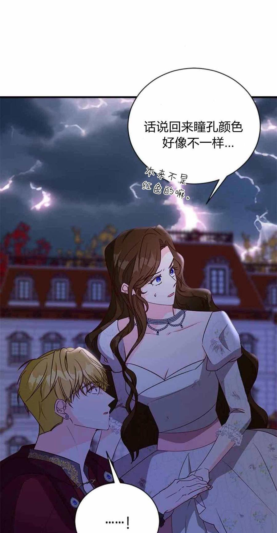 伯爵小姐的双重生活 第87话 第100页