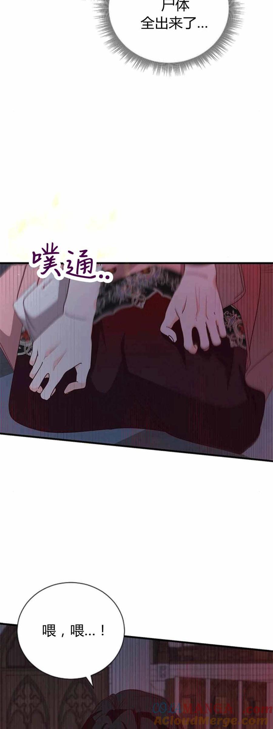 伯爵小姐的双重生活 第87话 第29页