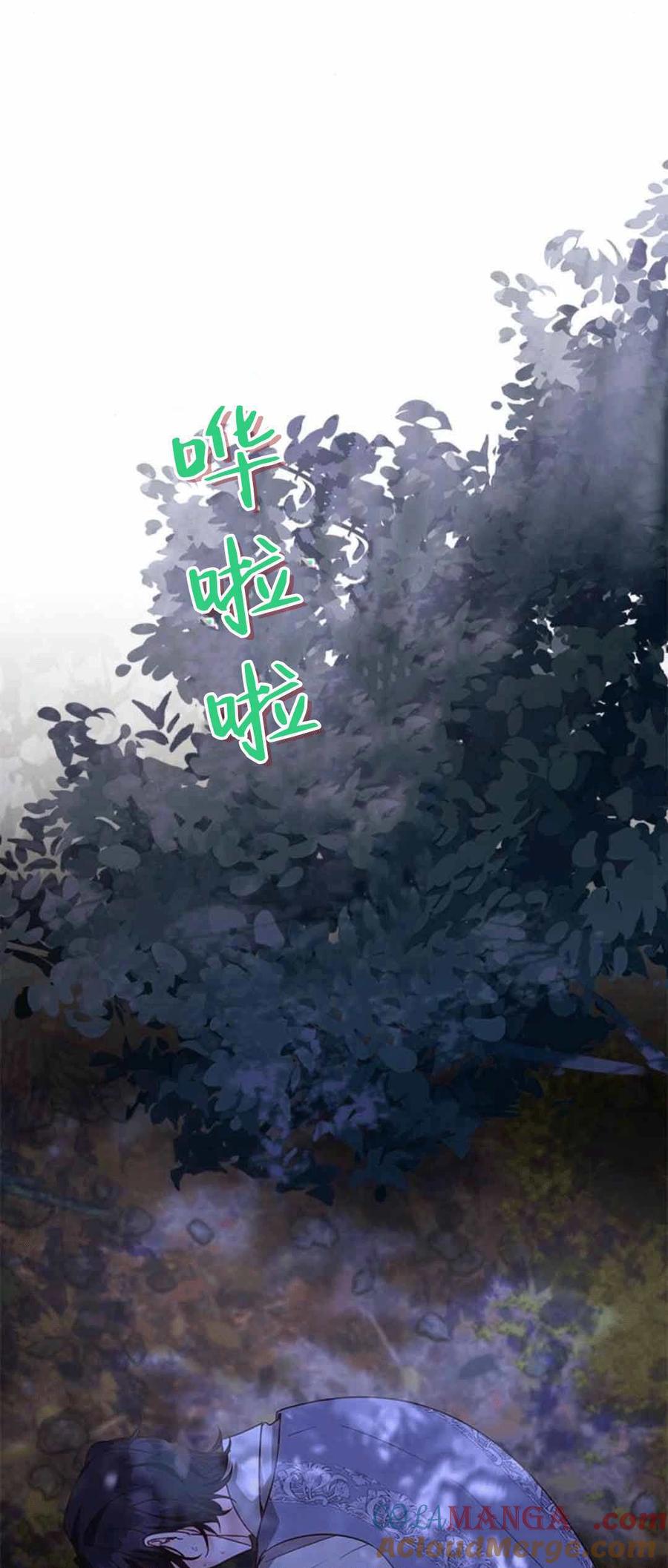 伯爵小姐的双重生活 第87话 第41页