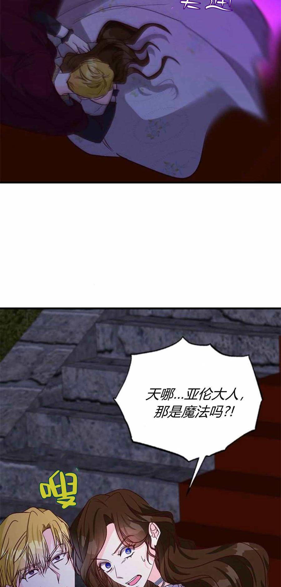伯爵小姐的双重生活 第87话 第96页